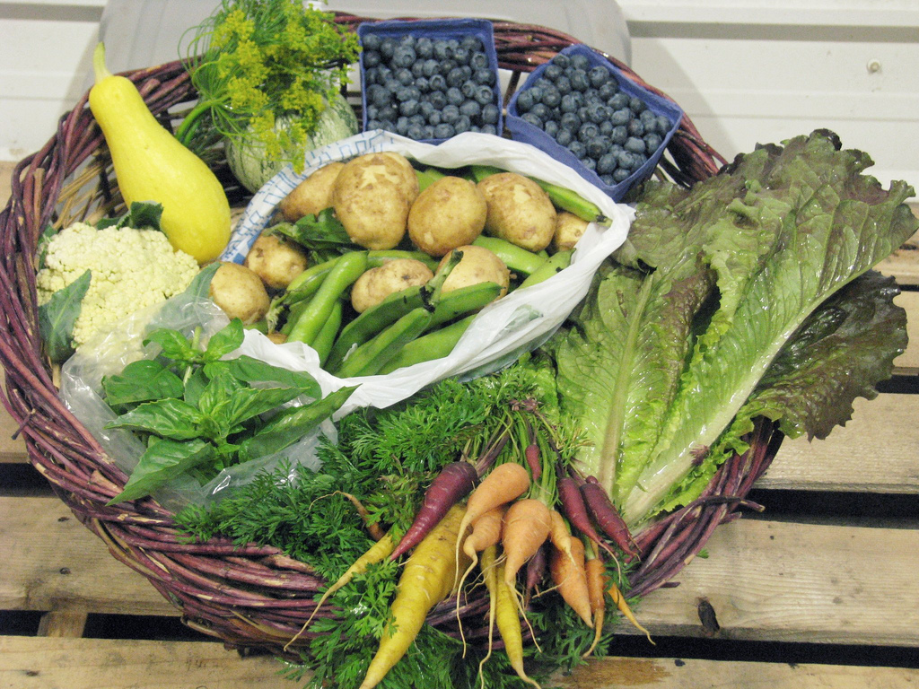 this week in your csa share {july 10}