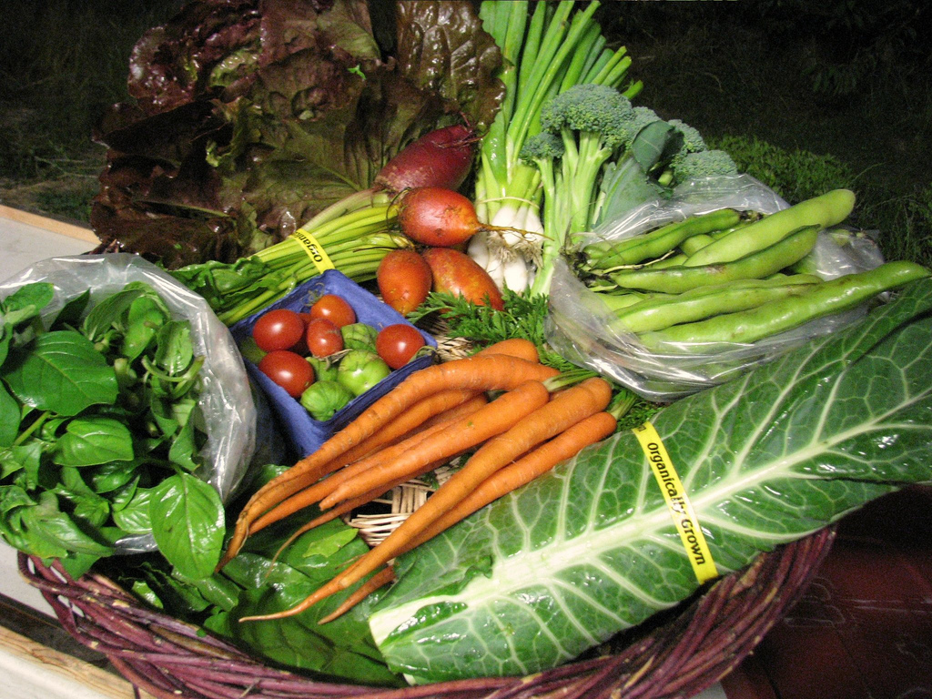 this week in your csa share {july 24}