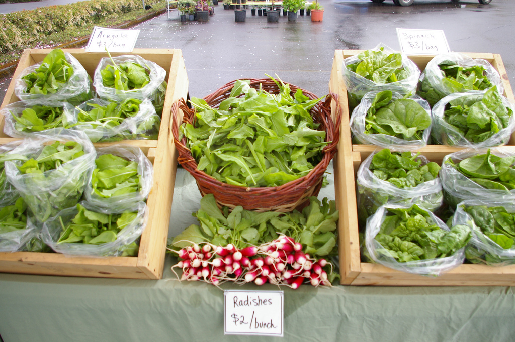 this week at market {may 14}