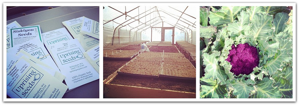 field notes: march 11