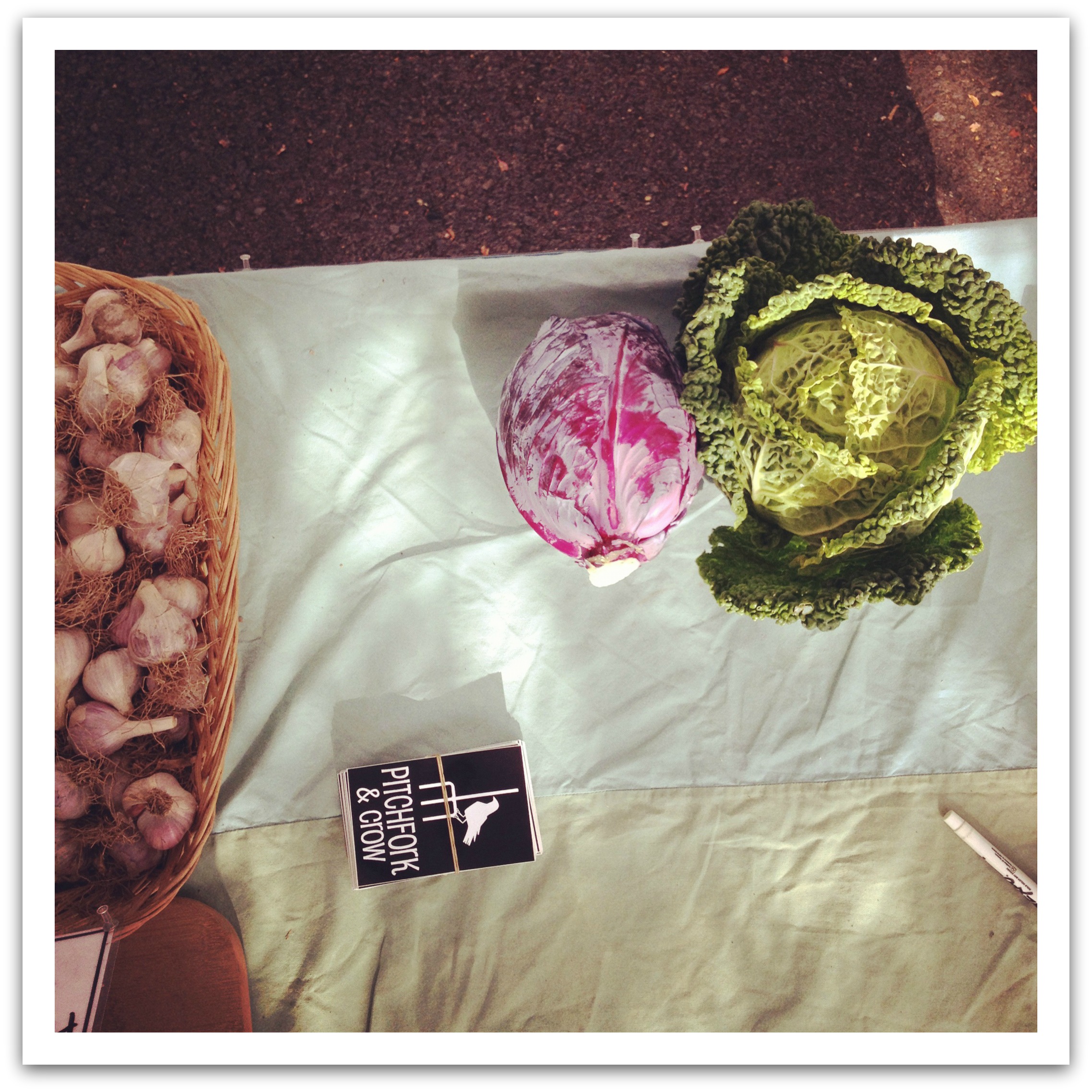 this week at market {august 11}