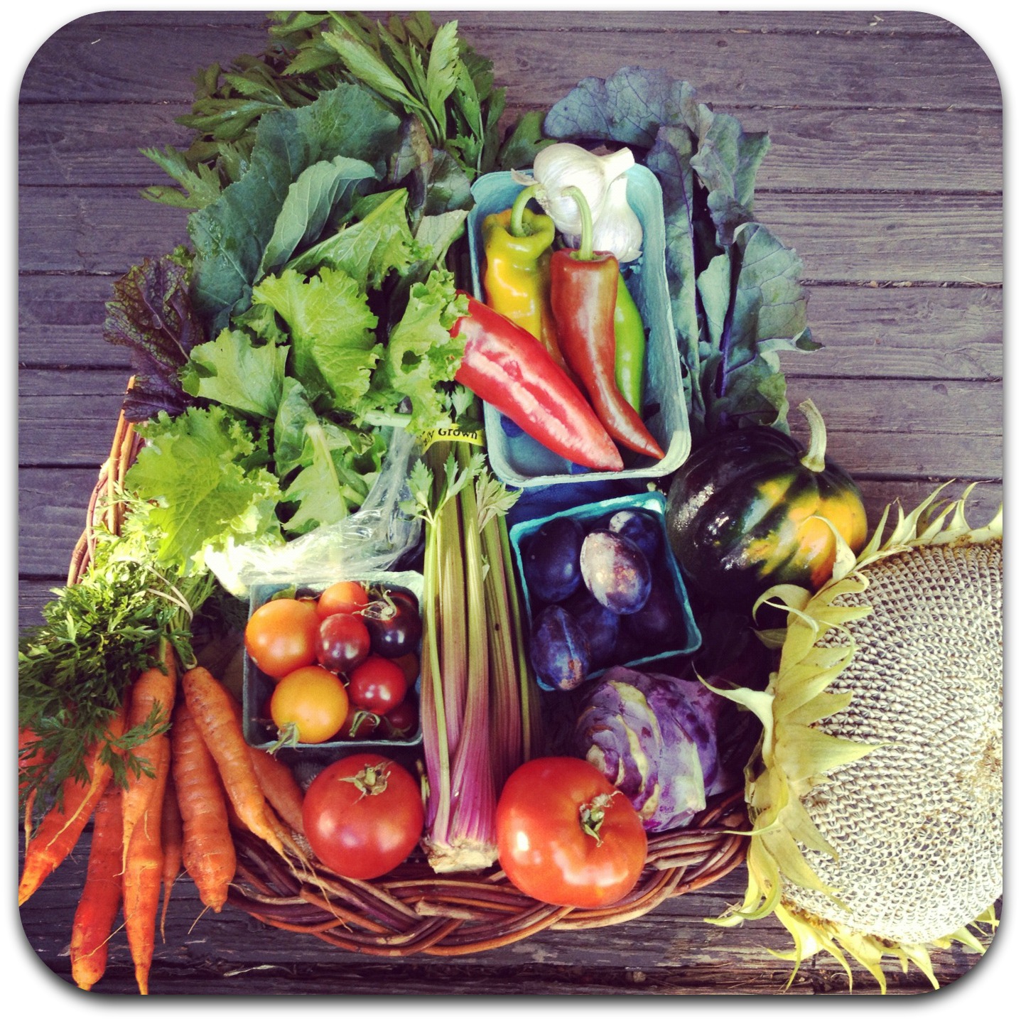 csa share – week 21 {october 9}