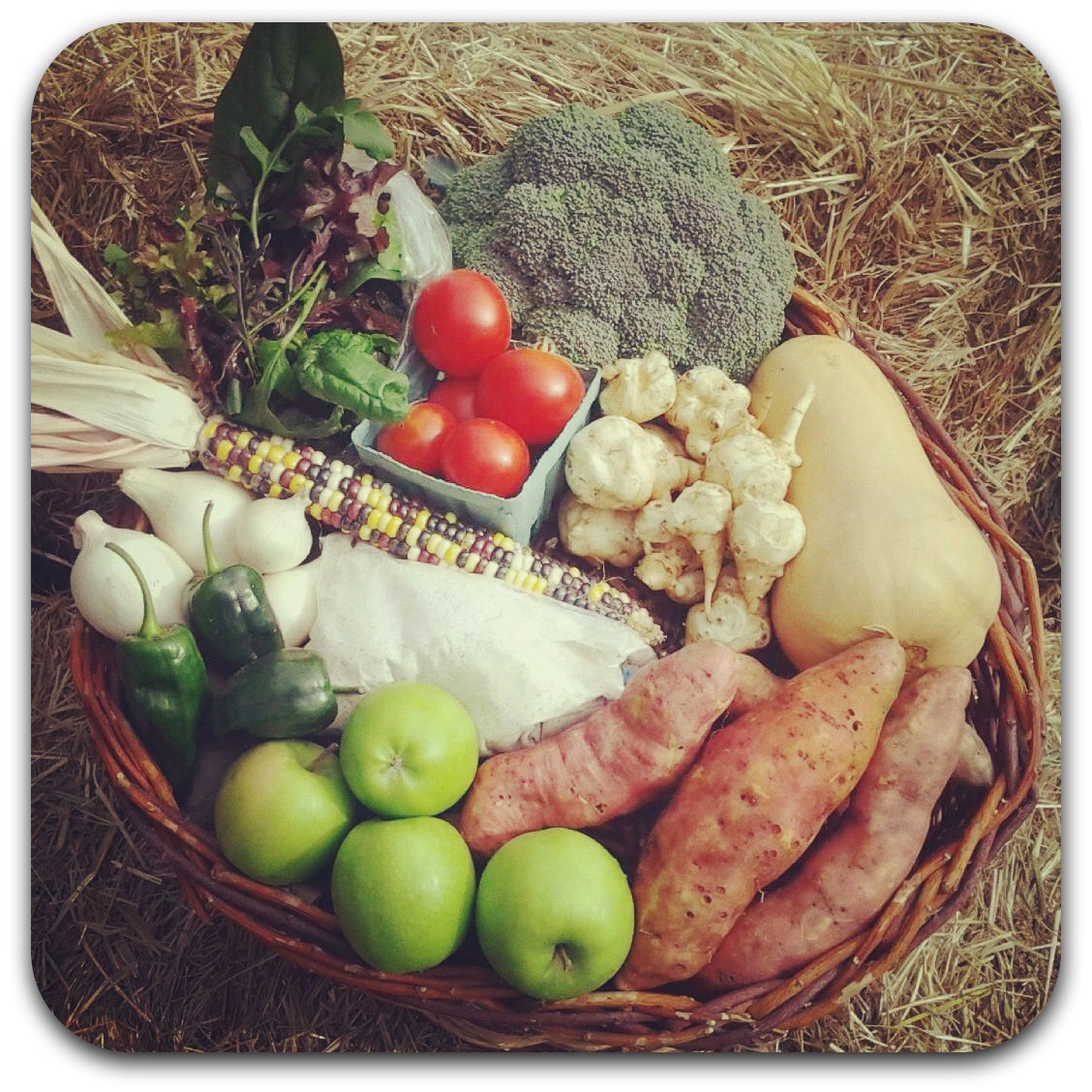 csa share – week 23 {october 23}