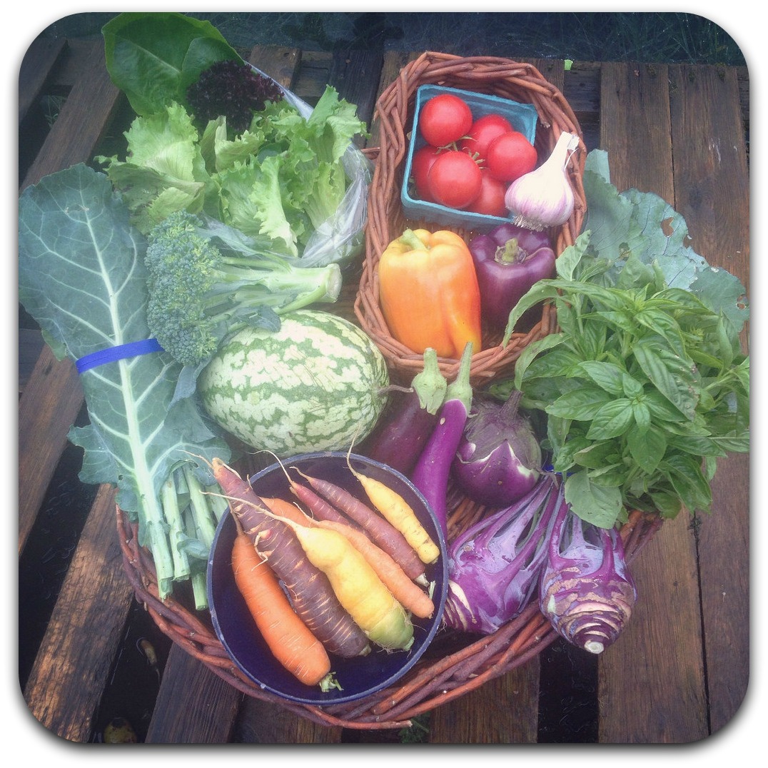 csa share – week 18