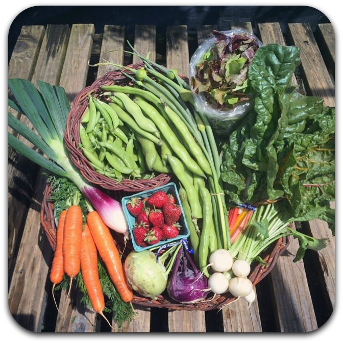 summer csa share – week 2