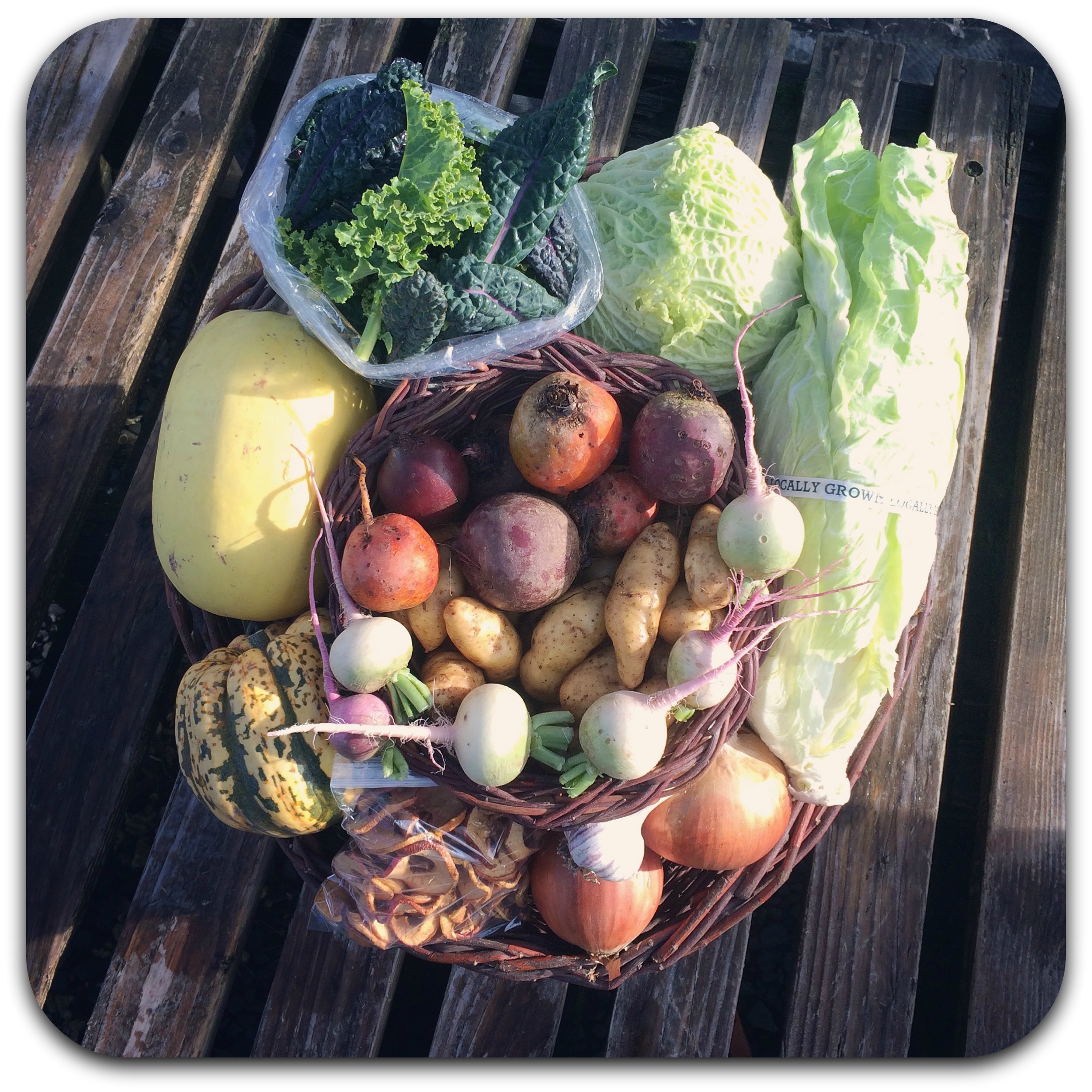 winter csa share – week 3