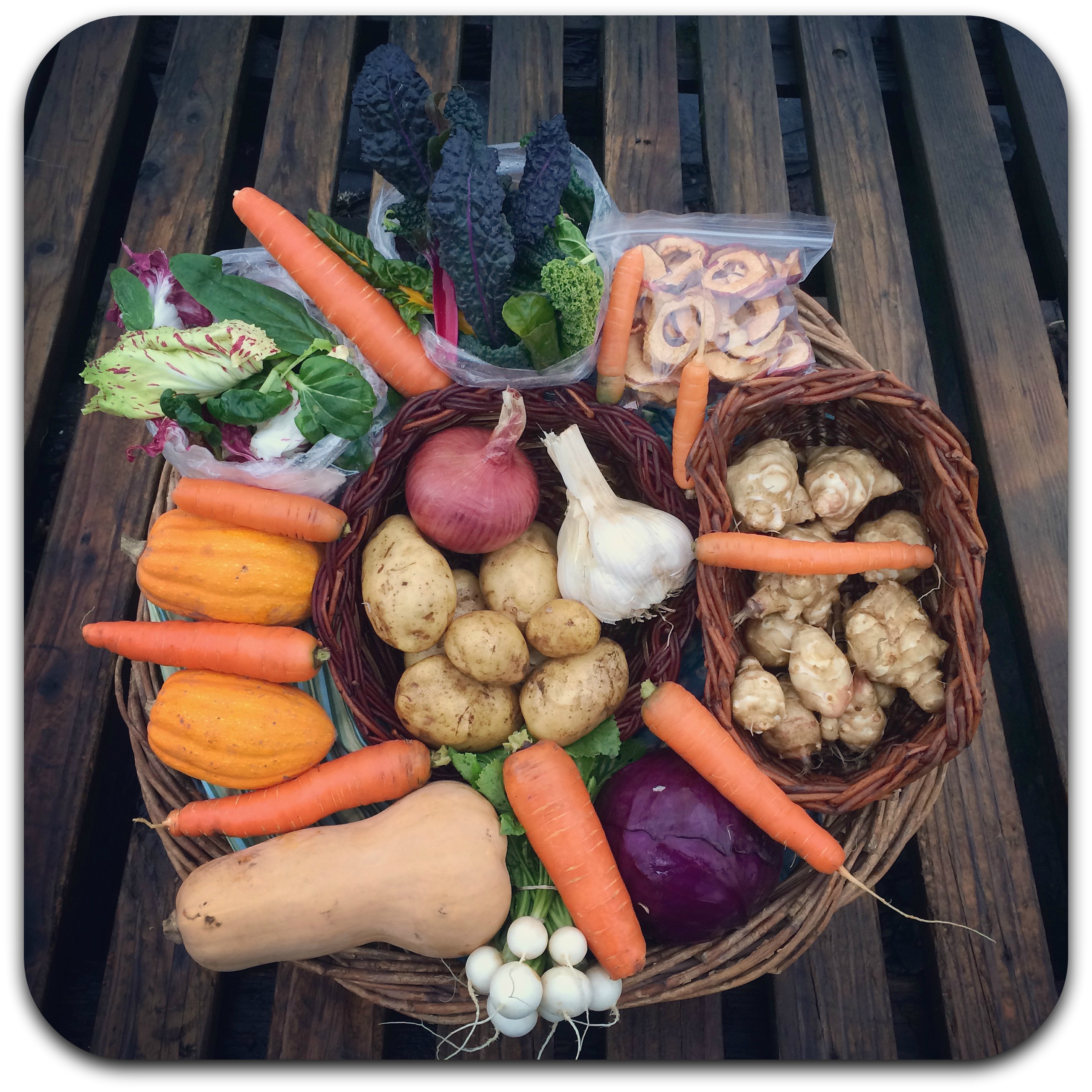 winter csa share – week 5
