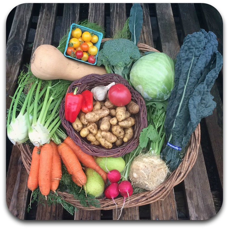 Summer CSA Share – #21