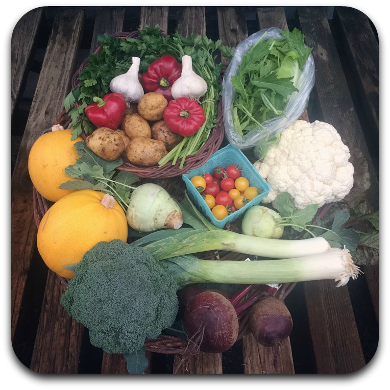 Summer CSA Share – #22