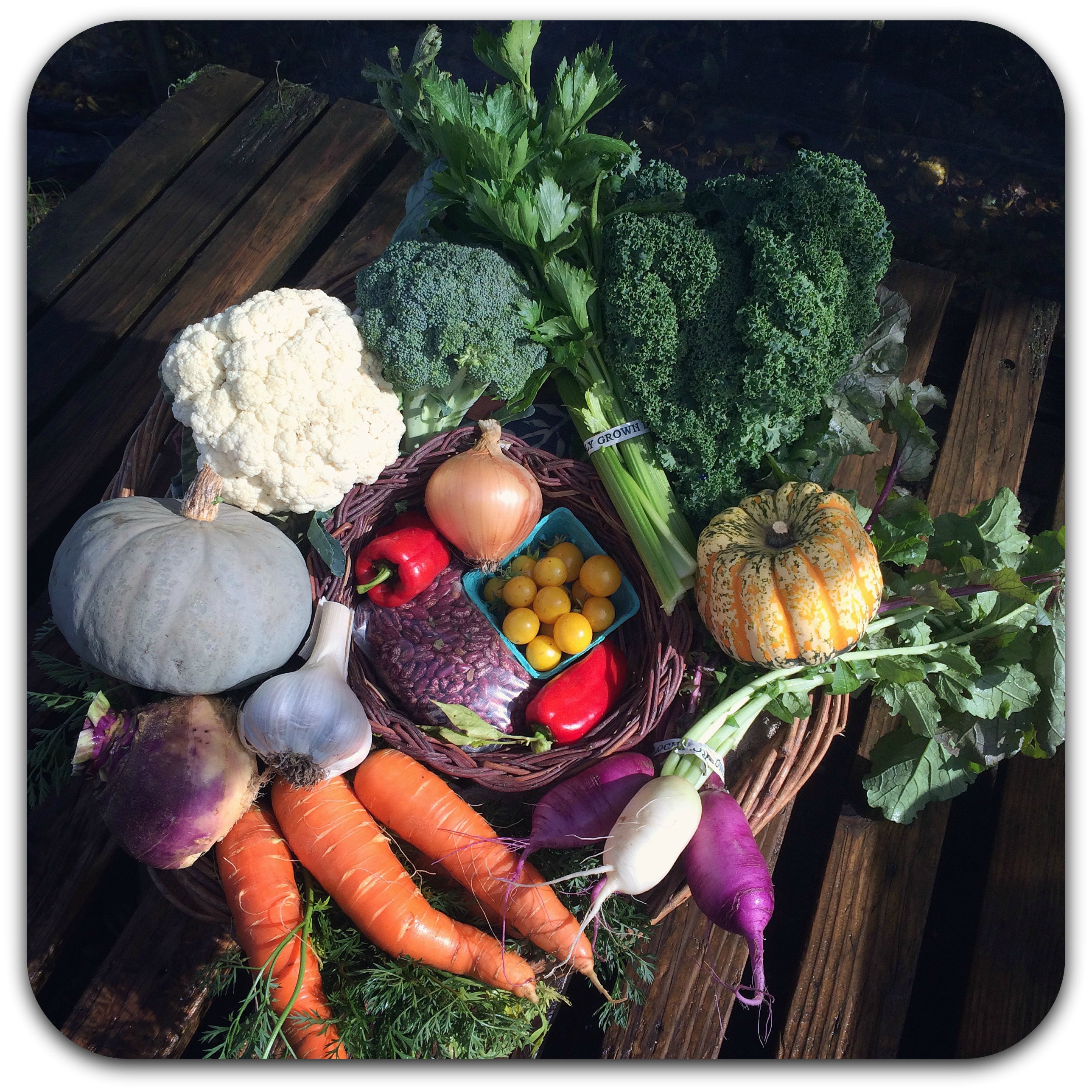 Summer CSA Share – #23
