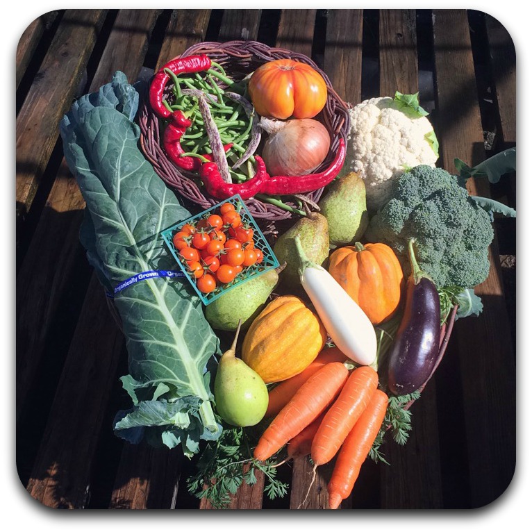 Summer CSA Share – #20