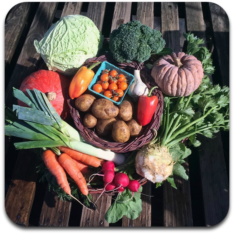 Summer CSA Share – #24