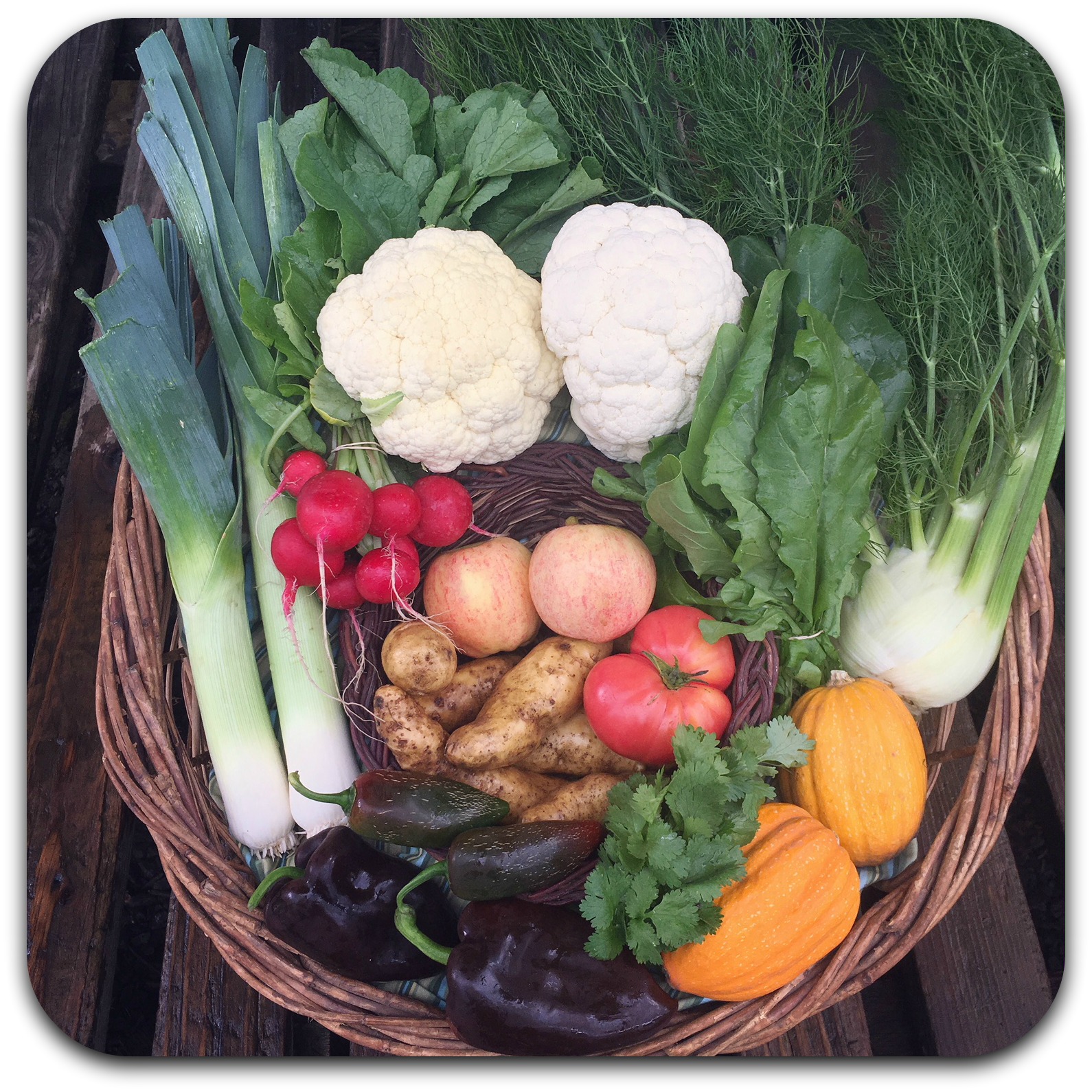 Summer CSA Share – #21