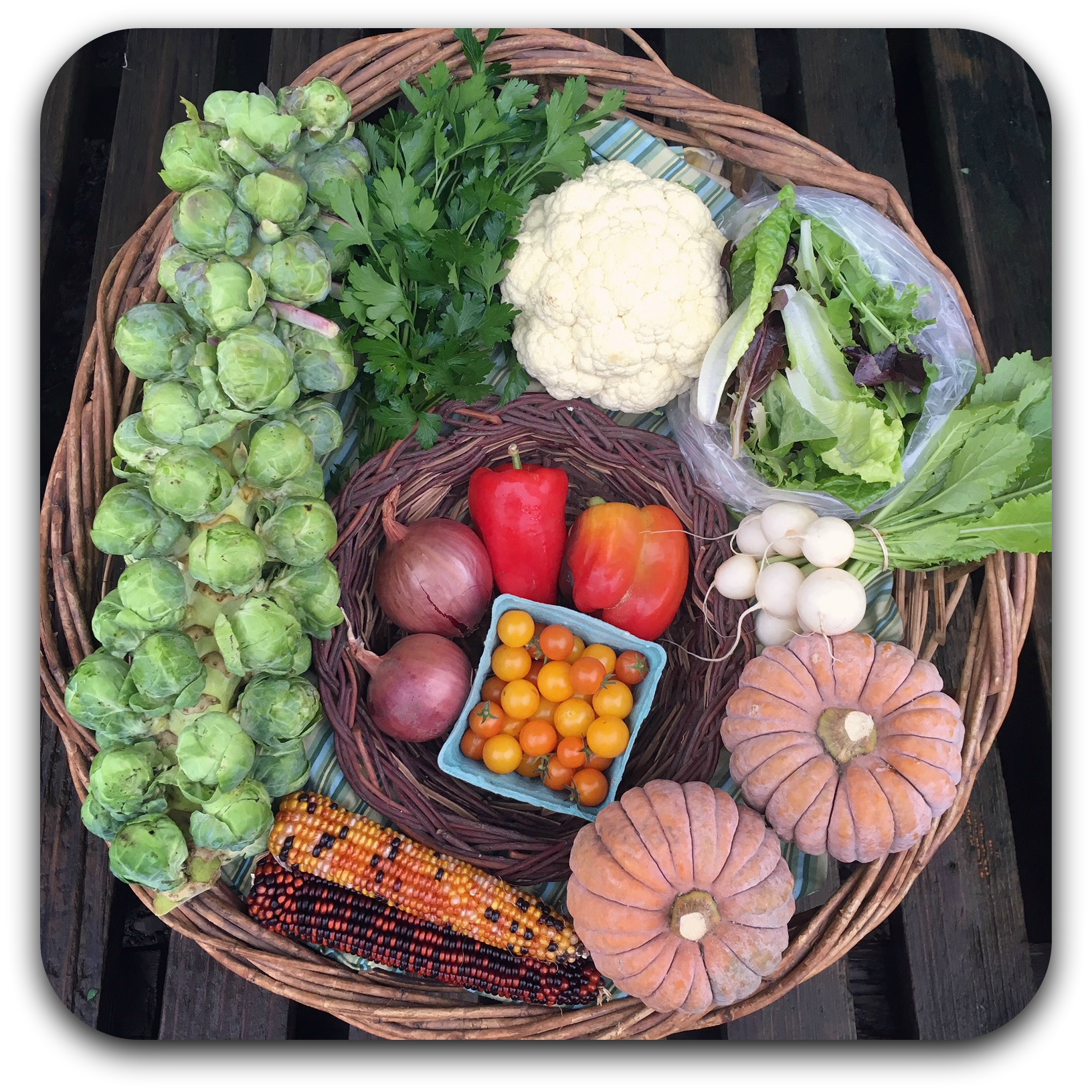 Summer CSA Share – #22