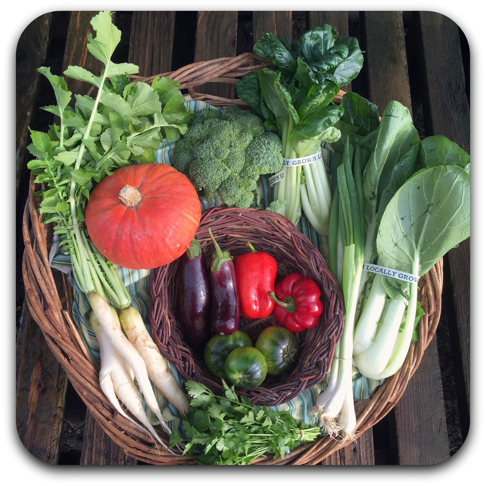 2018 P C Summer Csa Week 24 Pitchfork Crow