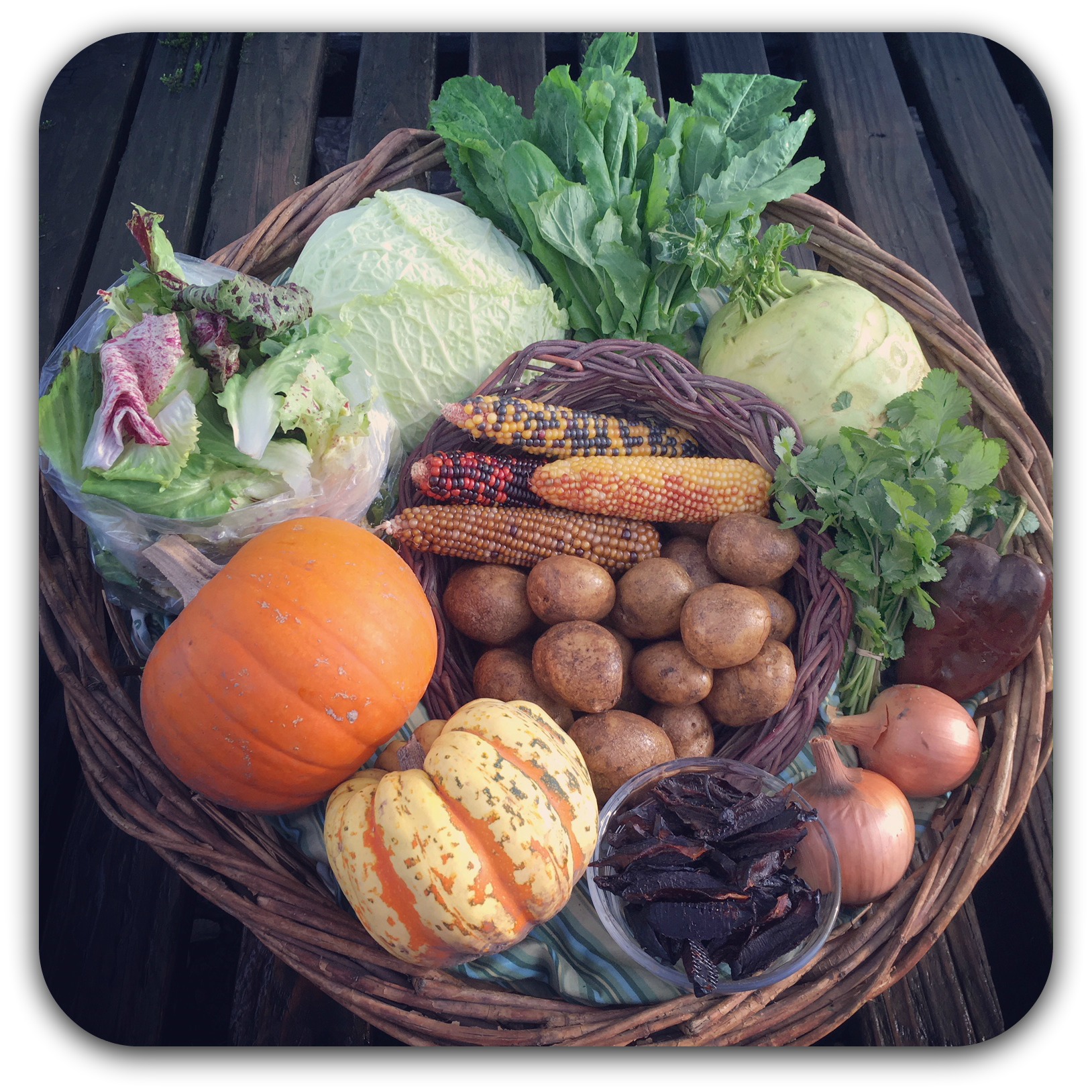 Winter CSA Share – #1