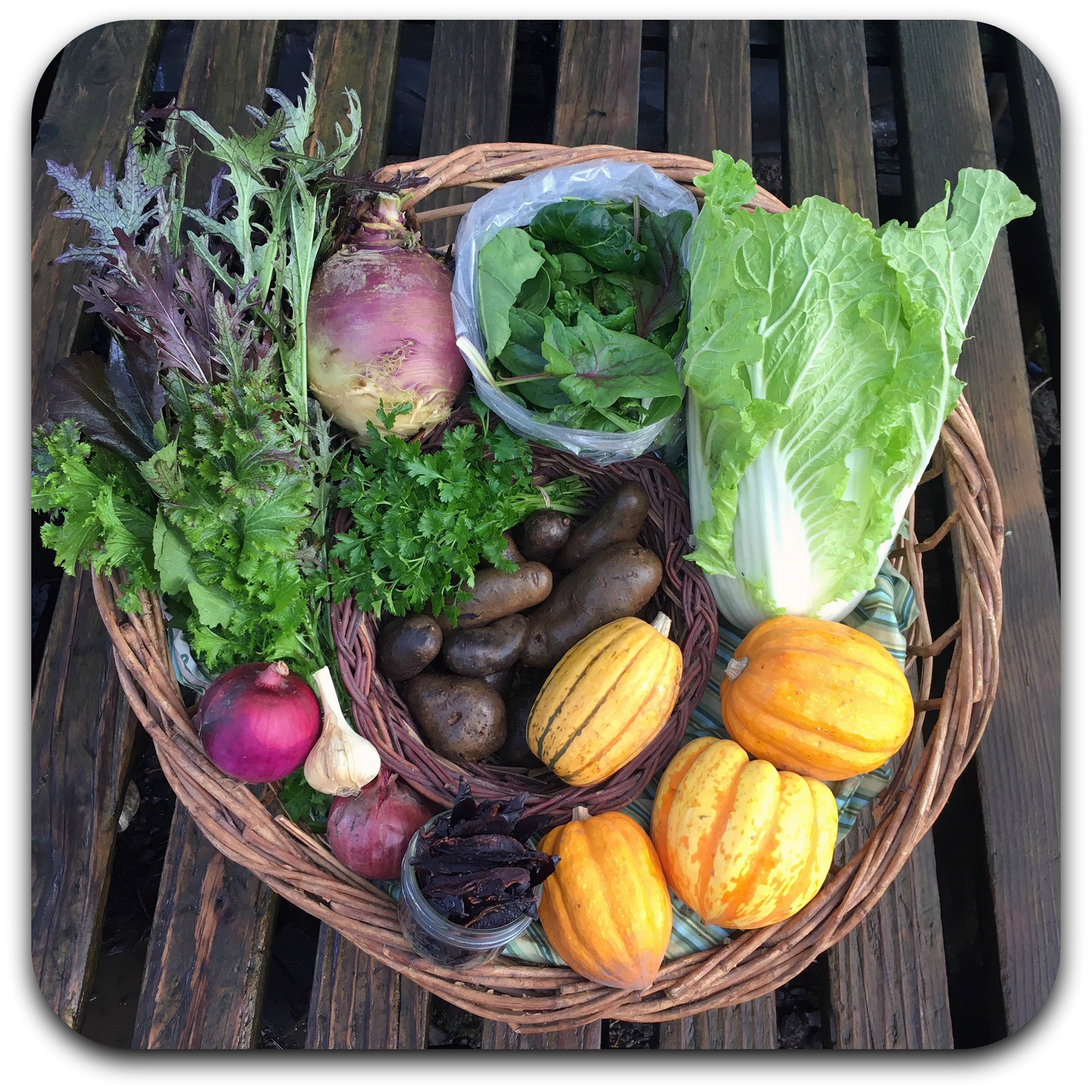Winter CSA Share – #2