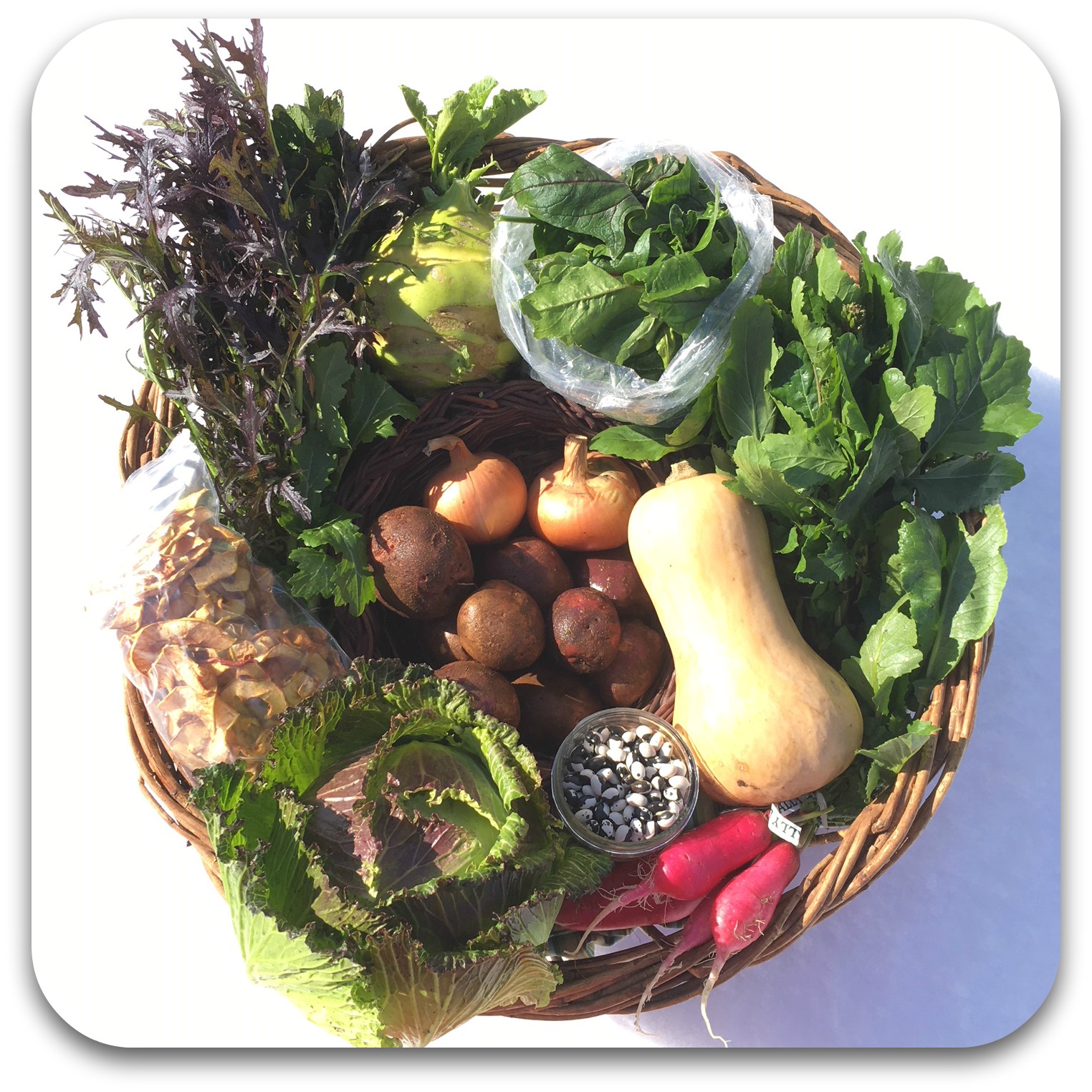 Winter CSA Share – #5