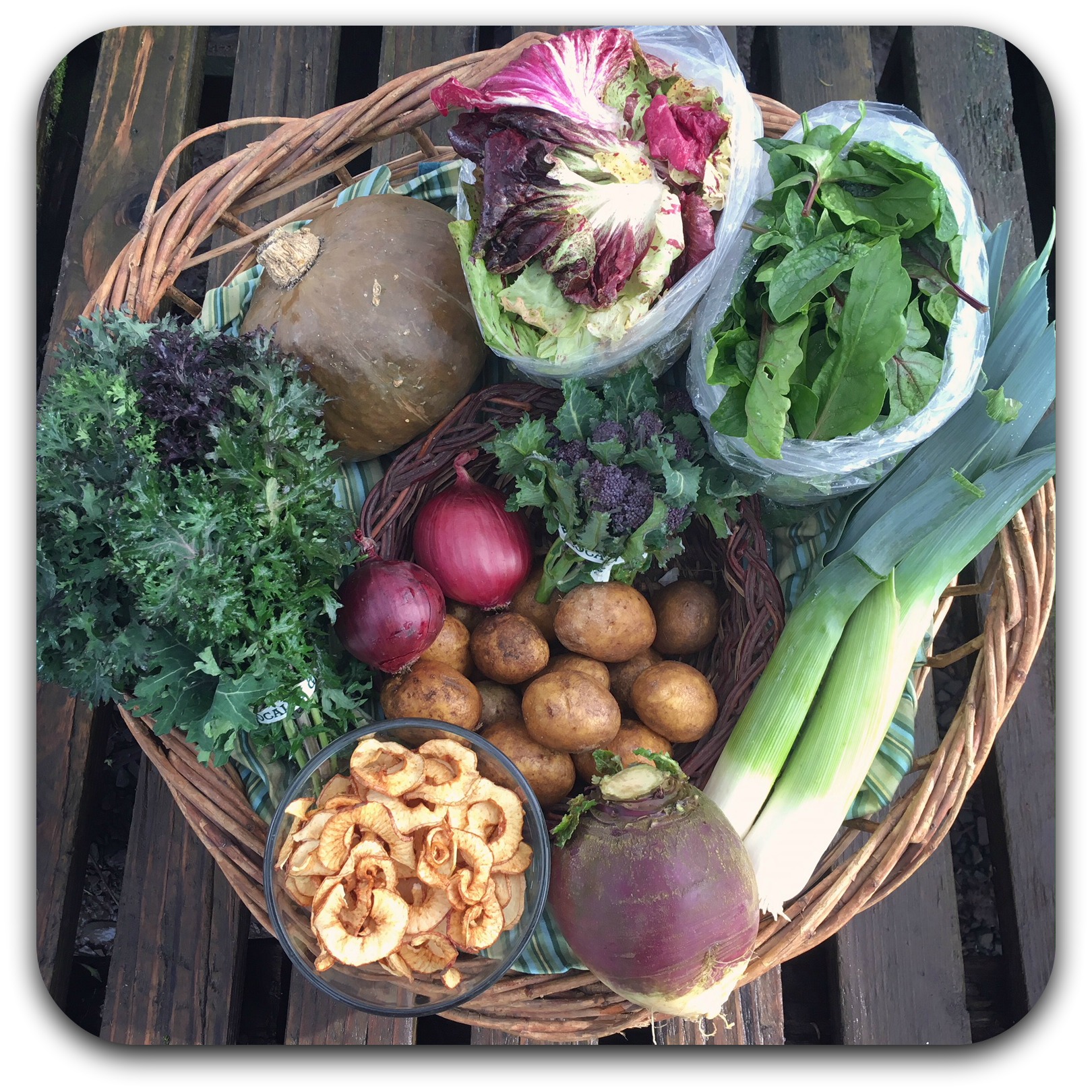 Winter CSA Share – #6