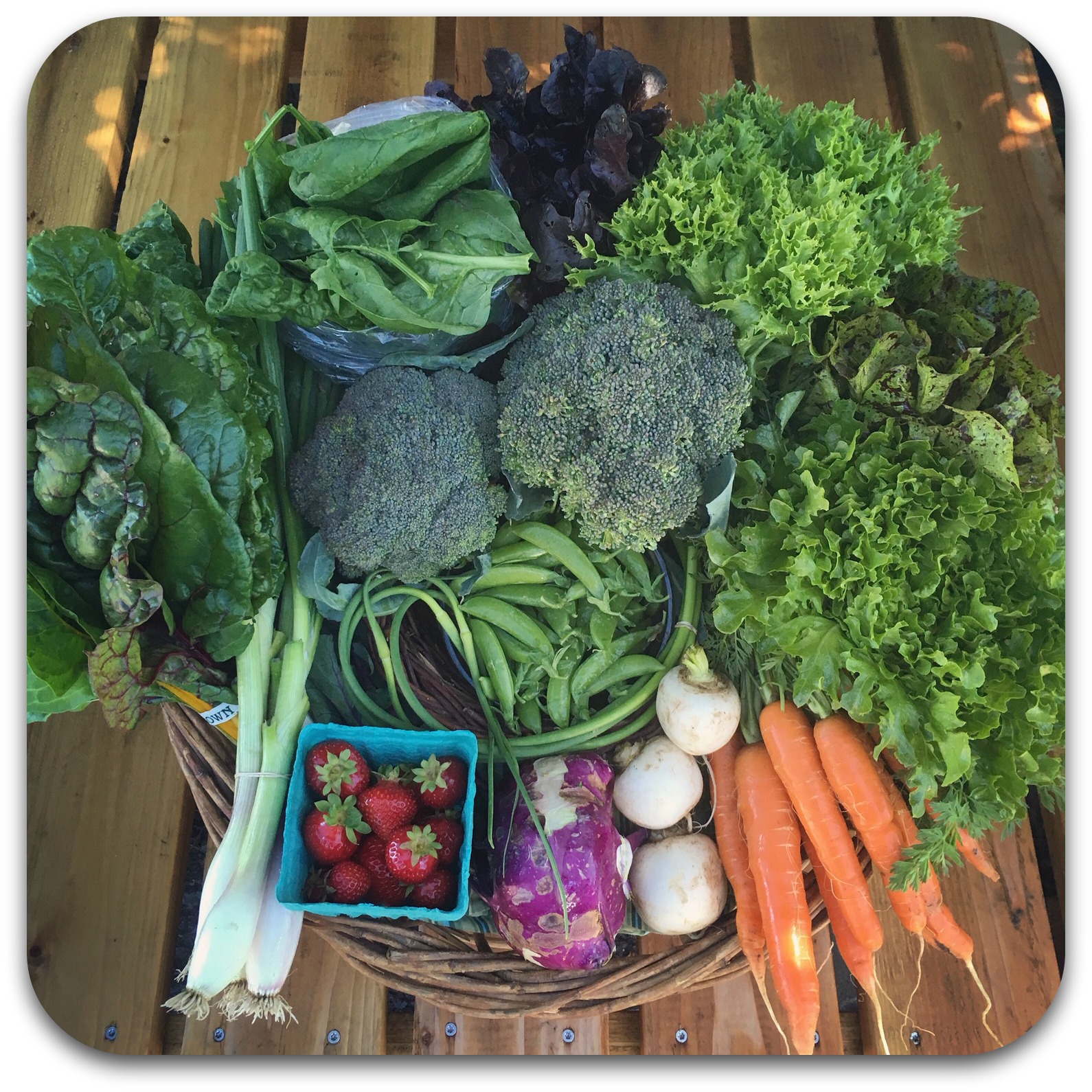 Summer CSA Share – #2
