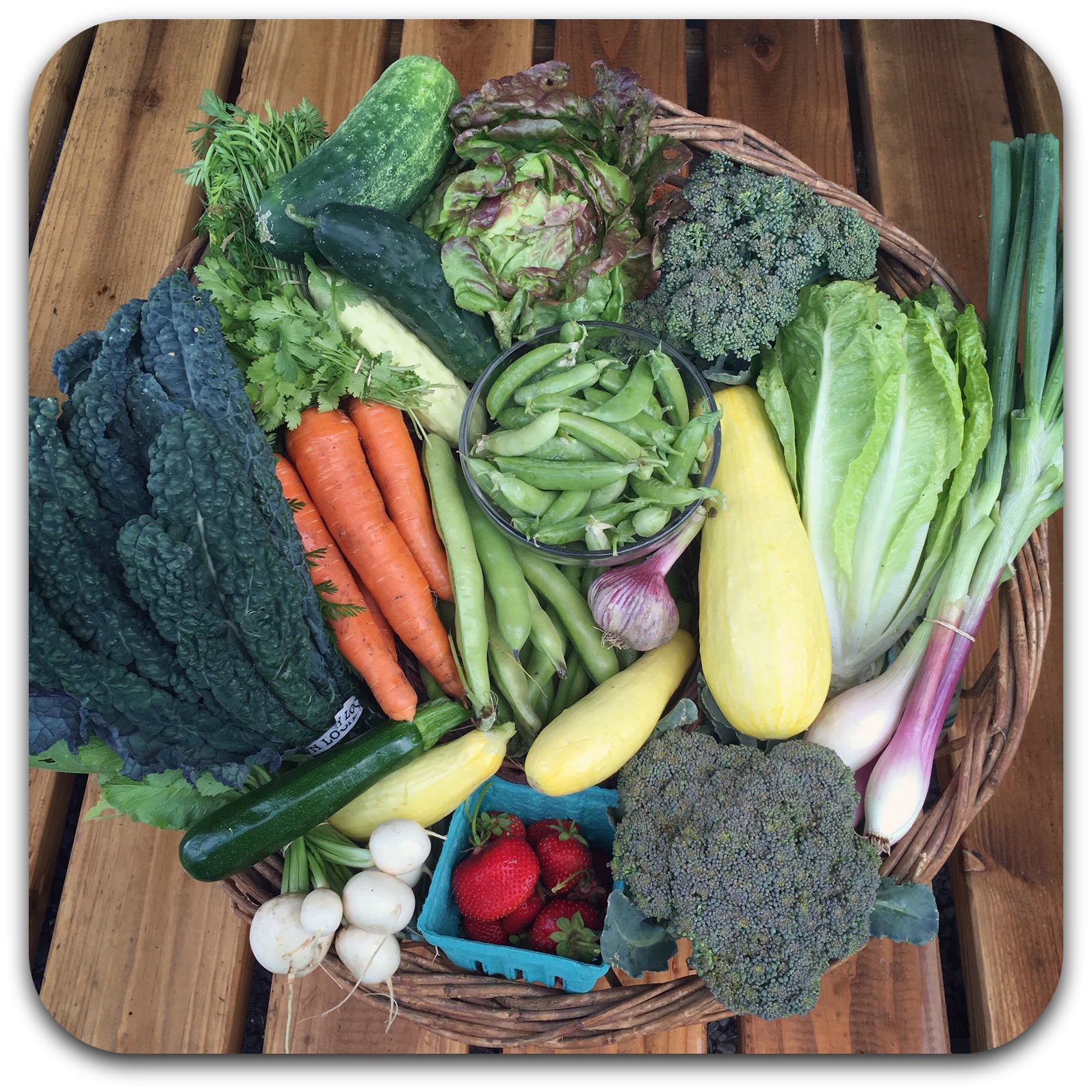 Summer CSA Share – #4