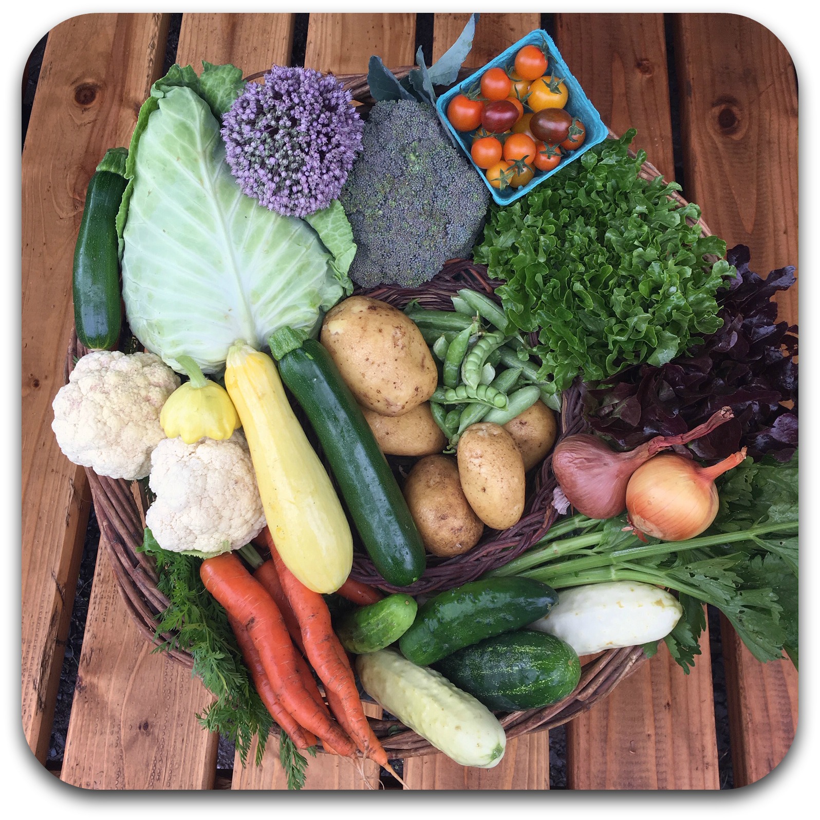 Summer CSA Share – #5