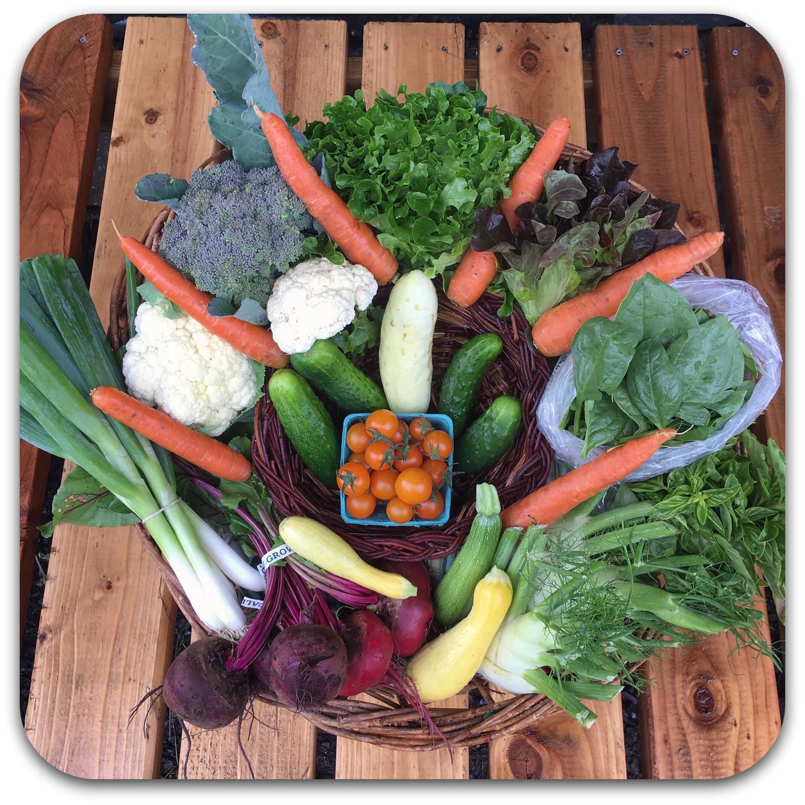 Summer CSA Share – #6