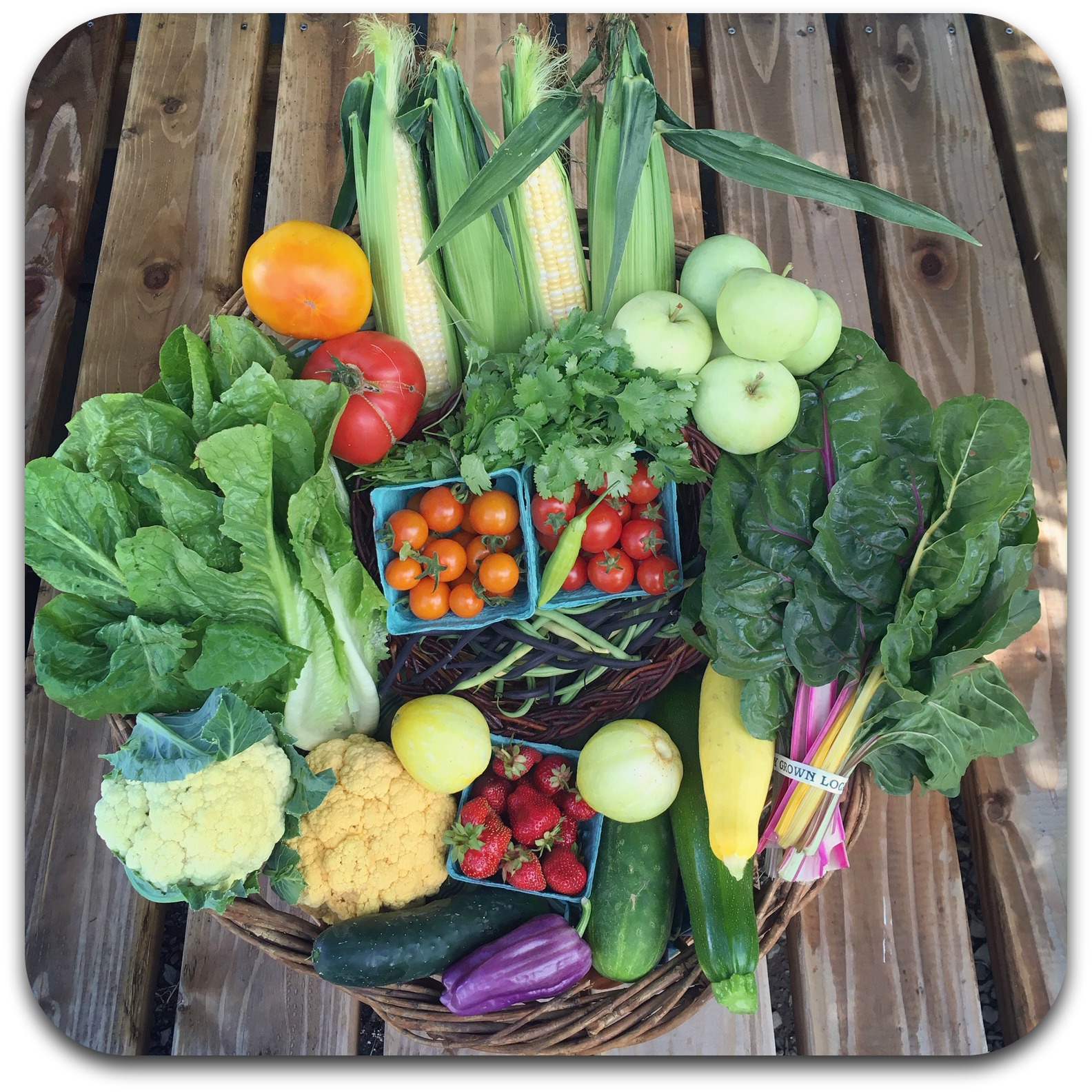 Summer CSA Share – #8