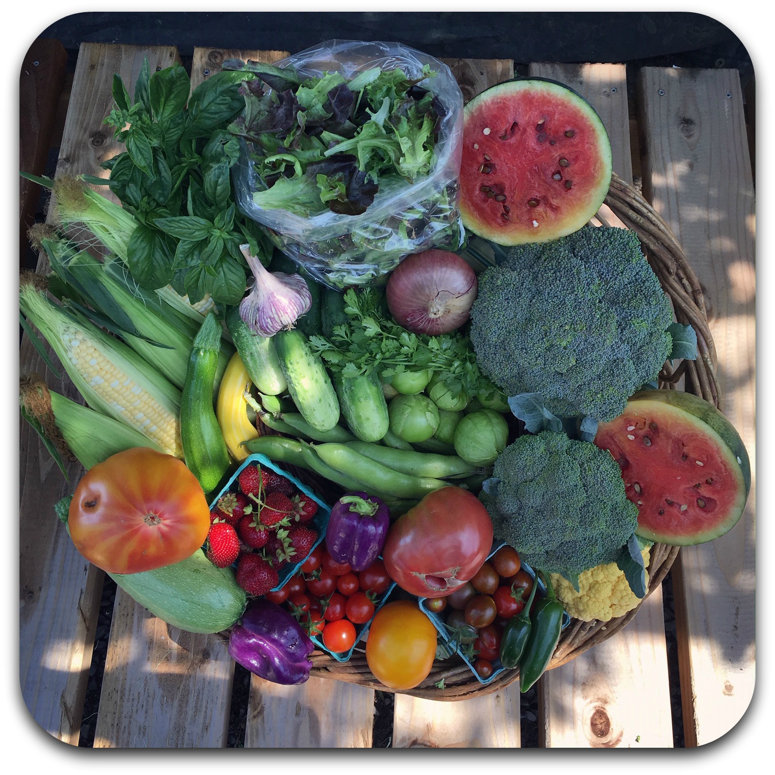Summer CSA Share – #10