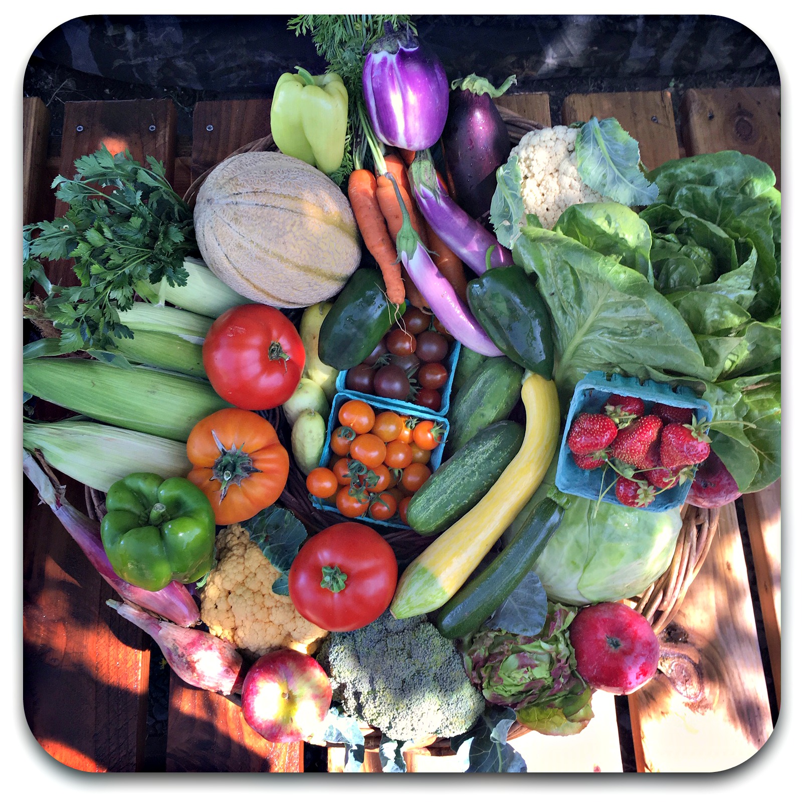 Summer CSA Share – #11