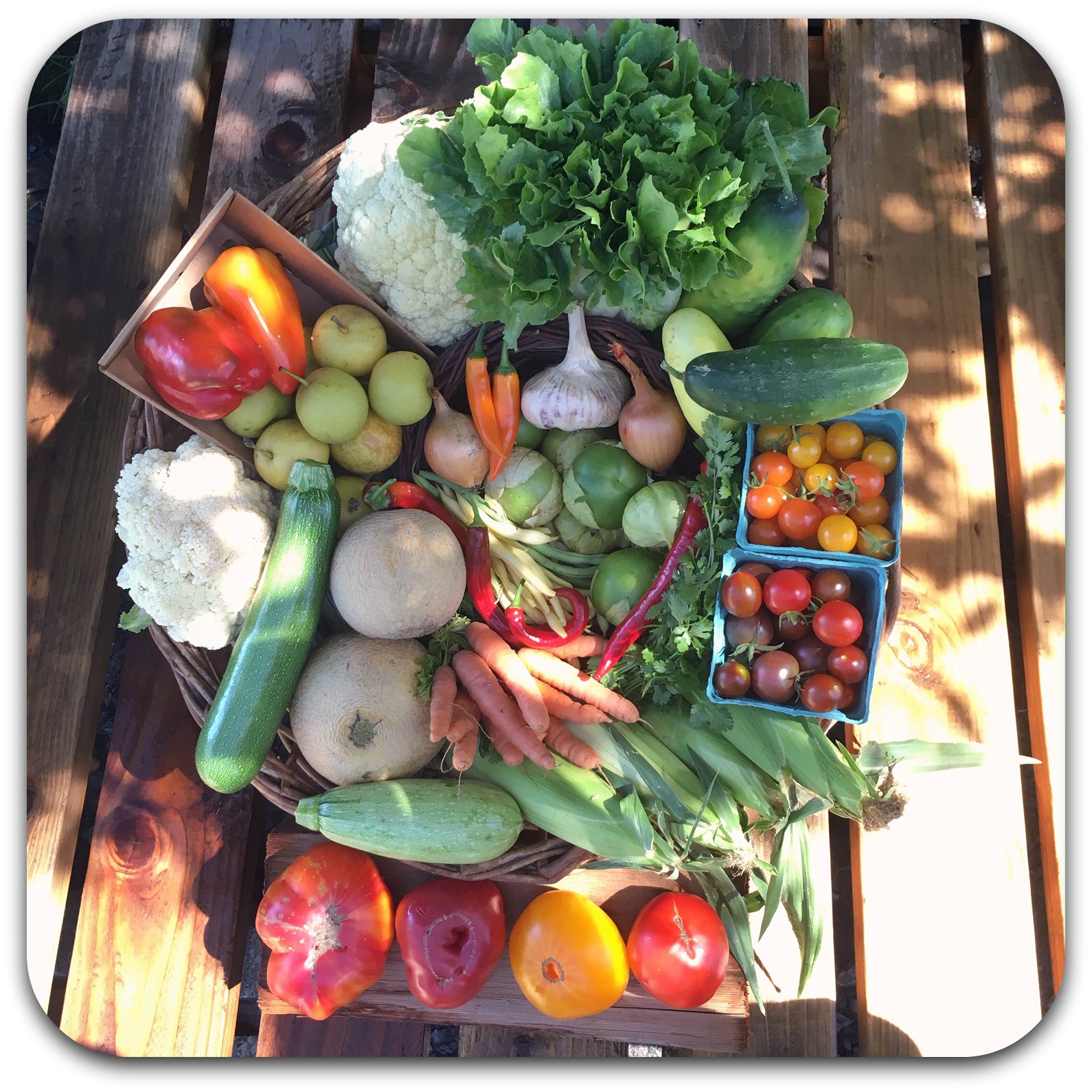 Summer CSA Share – #13