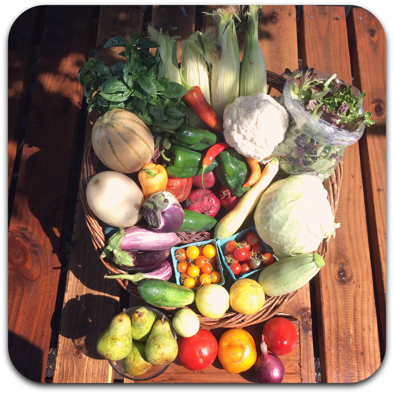 Summer CSA Share – #14