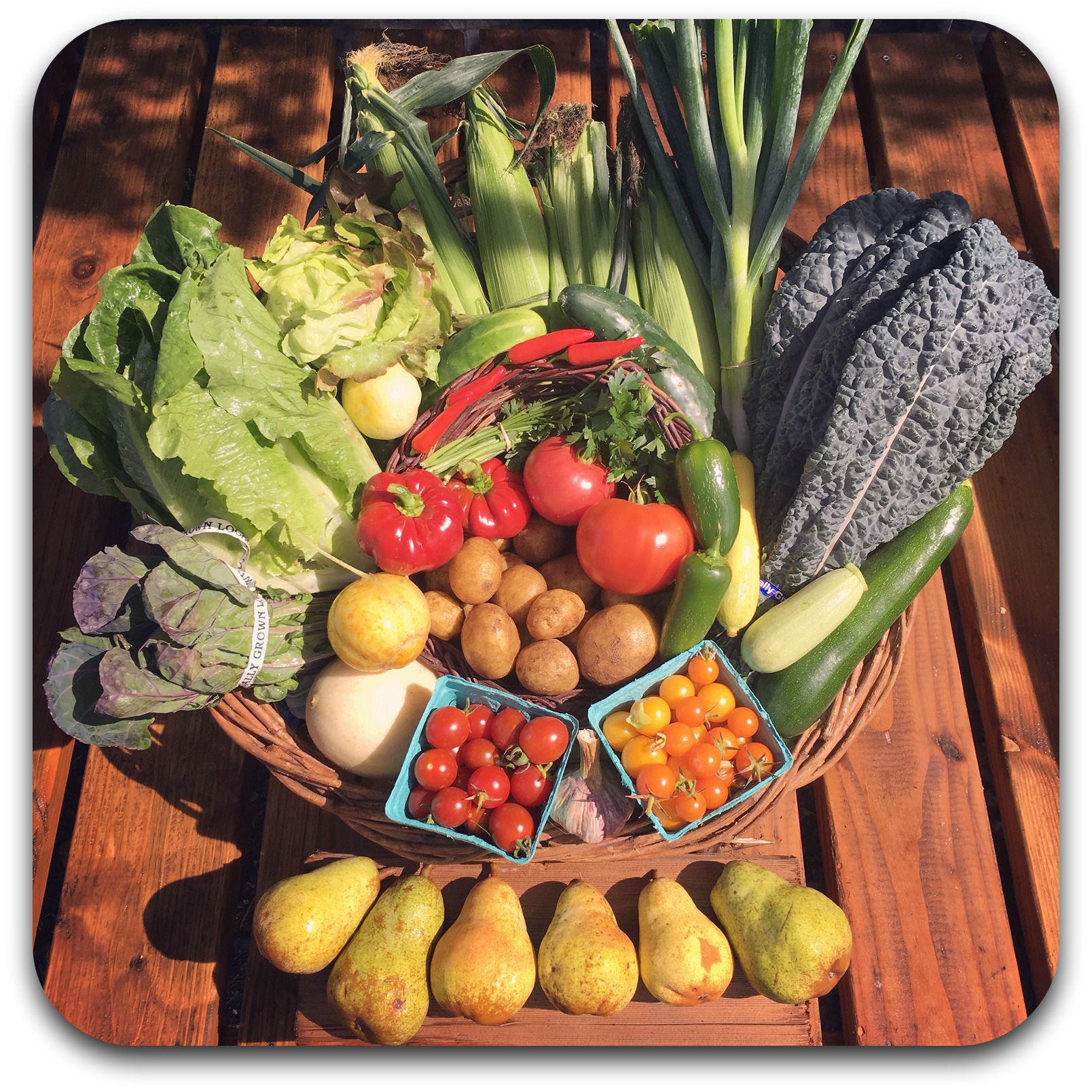 Summer CSA Share – #15