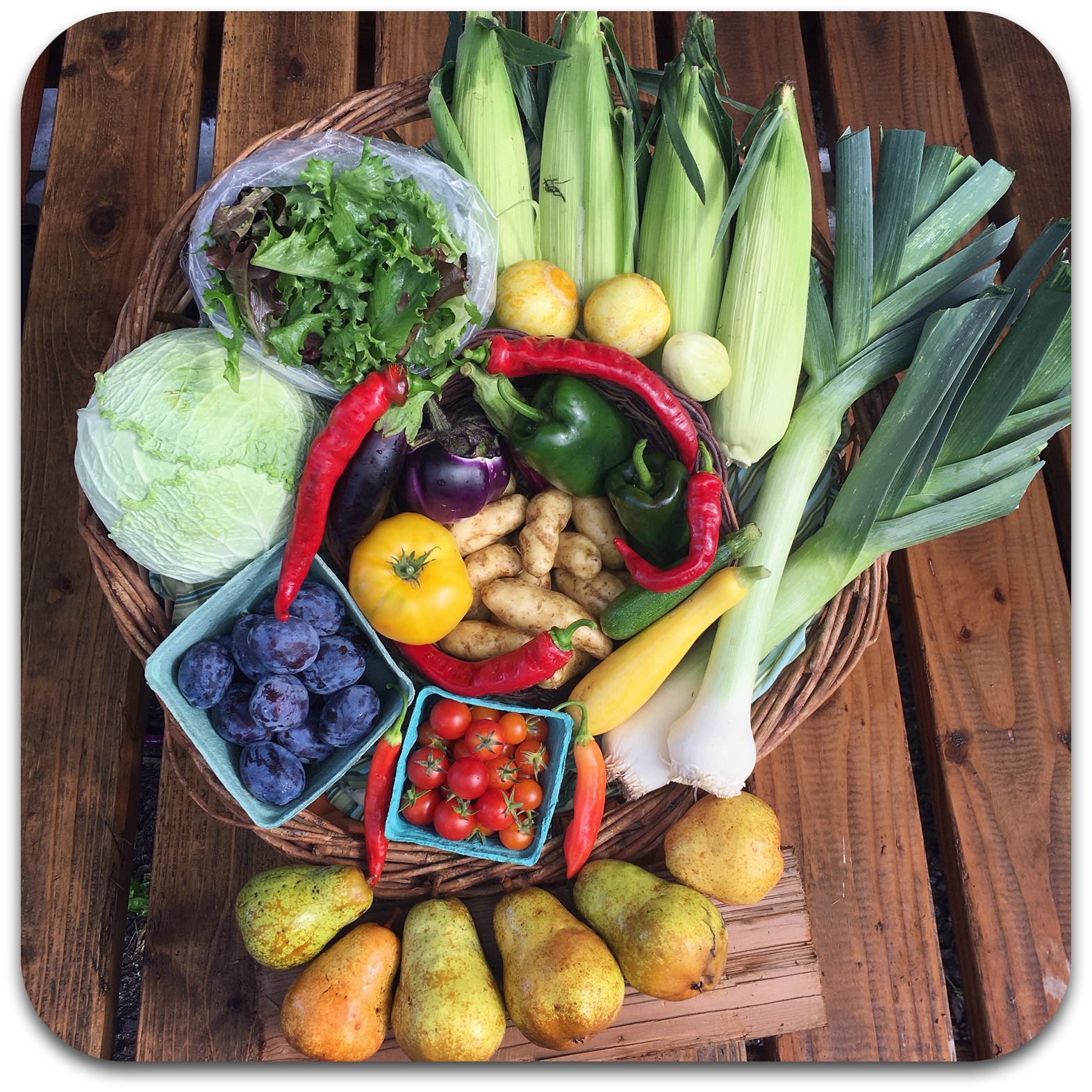Summer CSA Share – #17