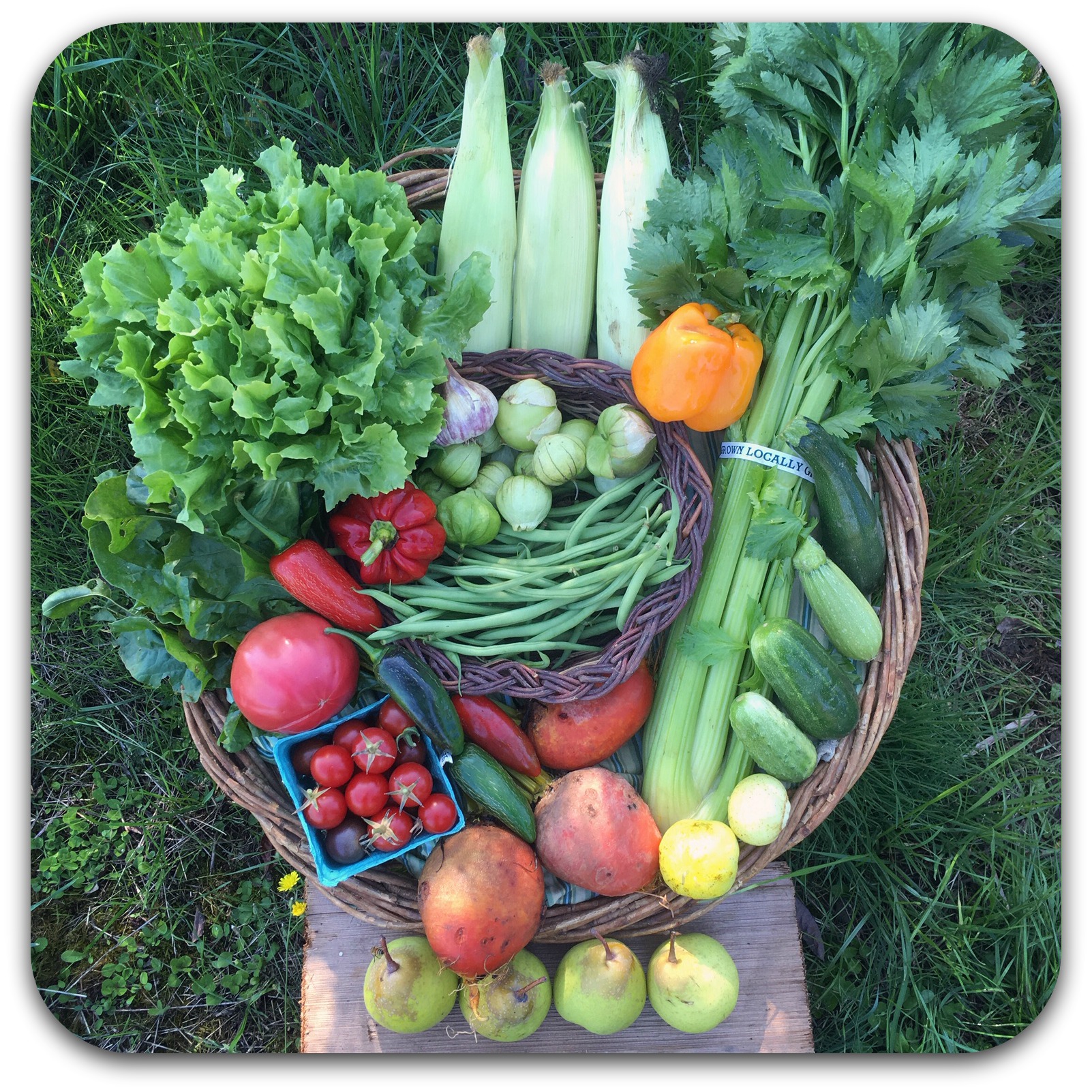 Summer CSA Share – #18