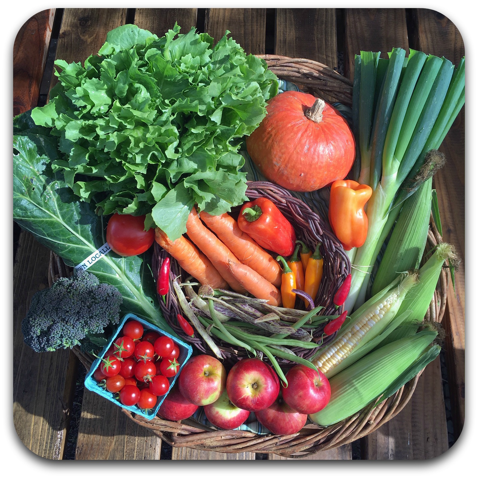 Summer CSA Share – #19