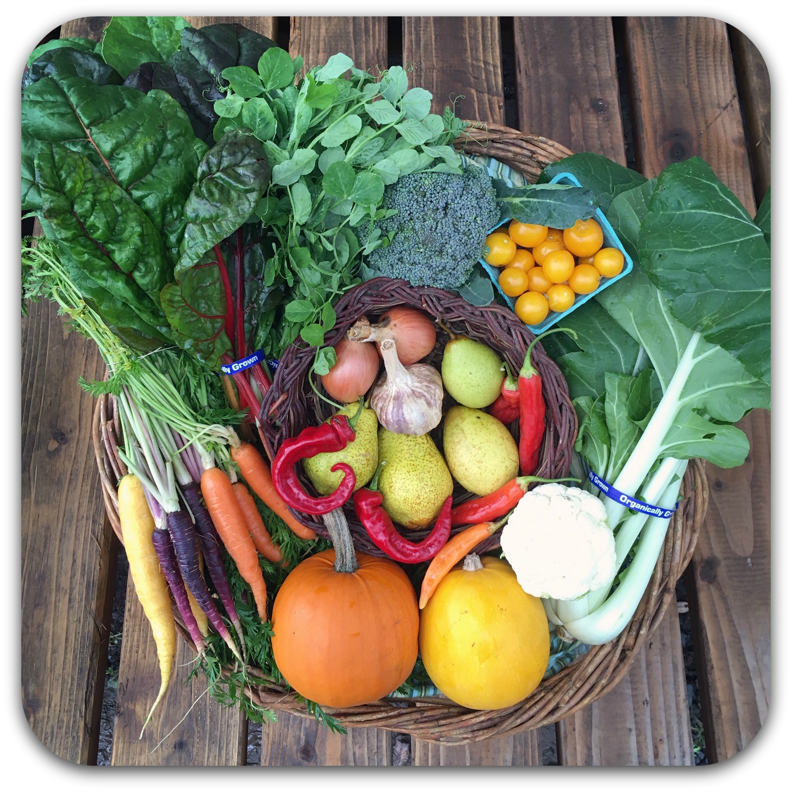 Summer CSA Share – #21