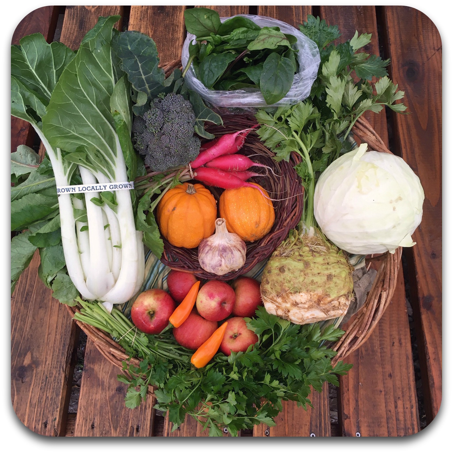 Summer CSA Share – #24