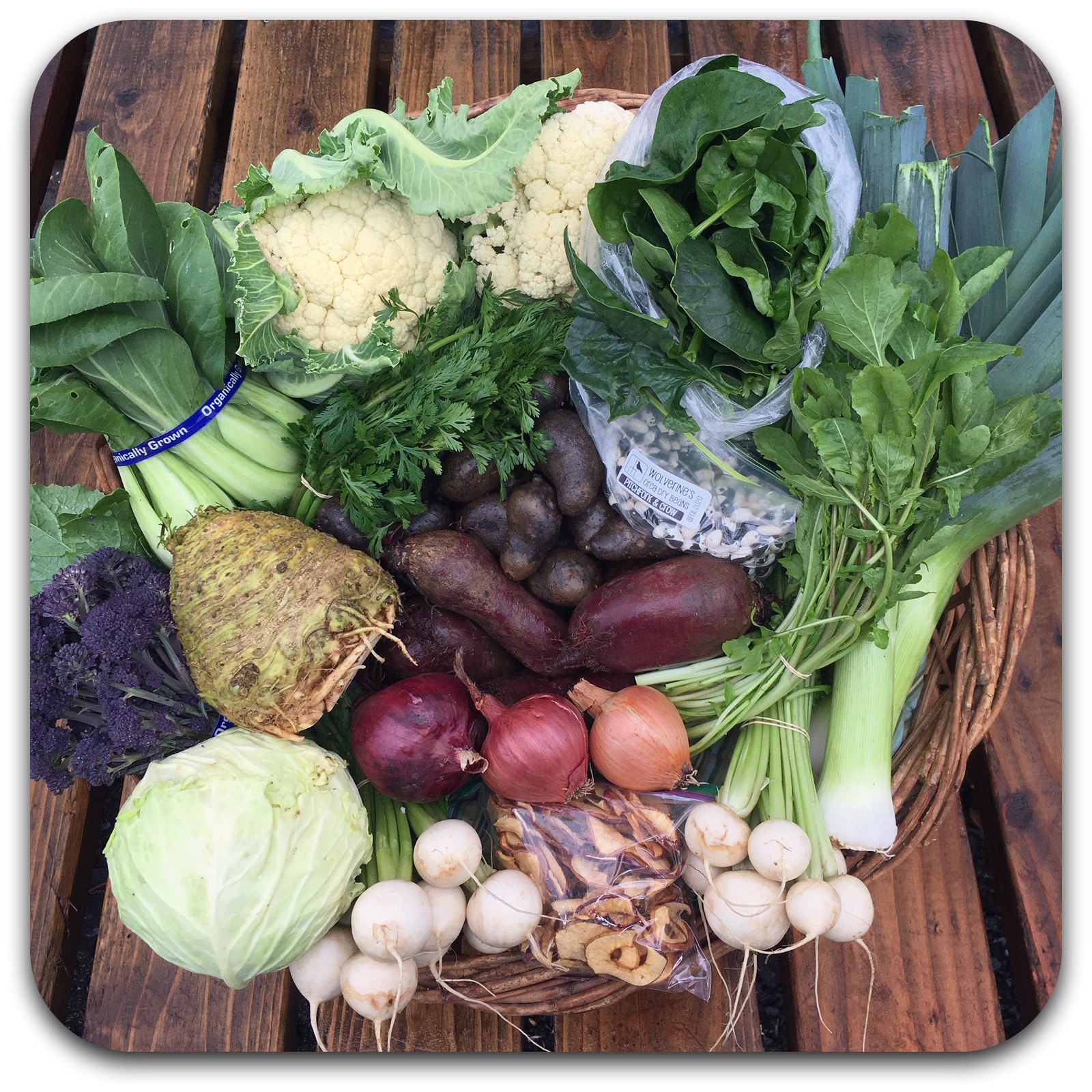 Winter CSA Share – #10