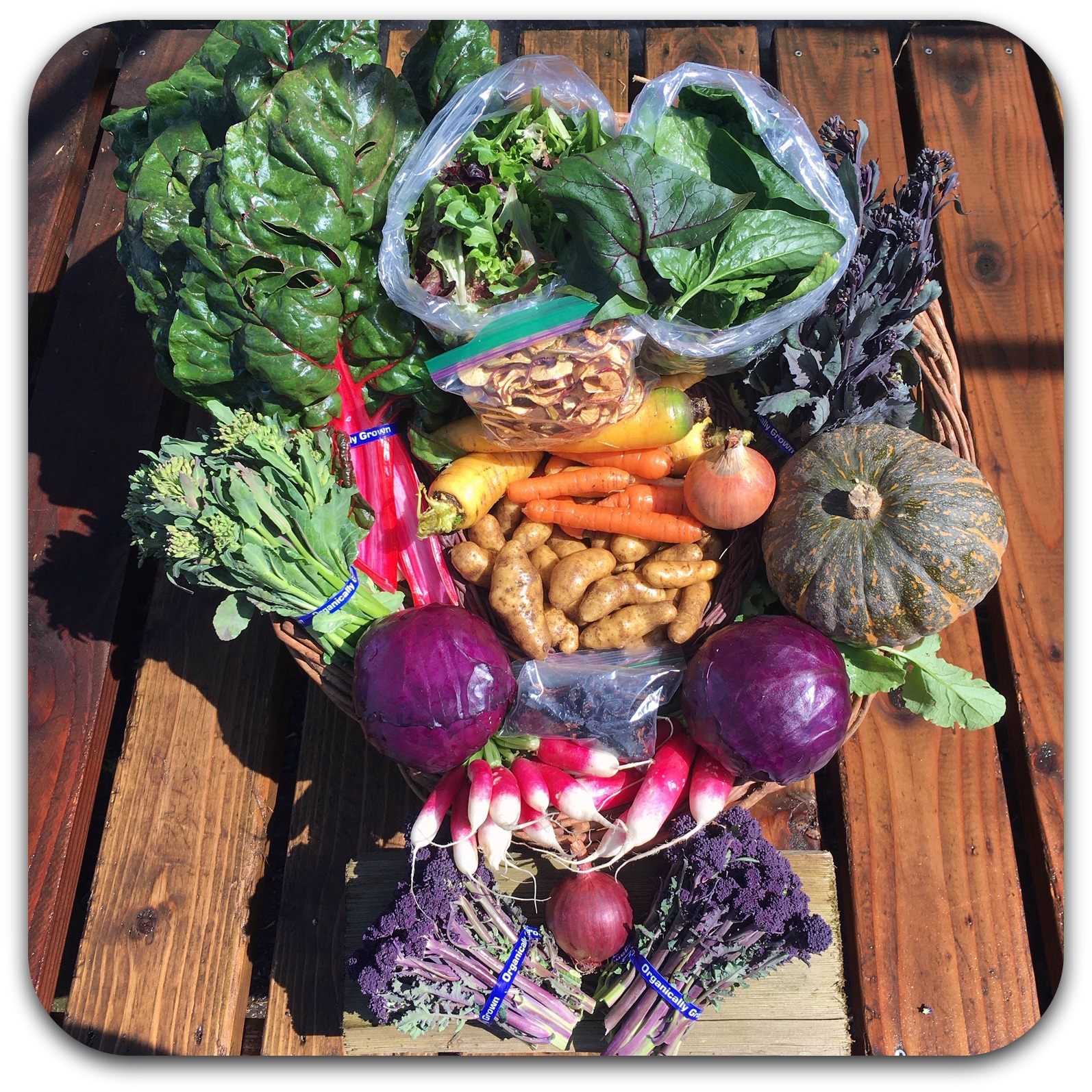 Winter CSA Share – #9