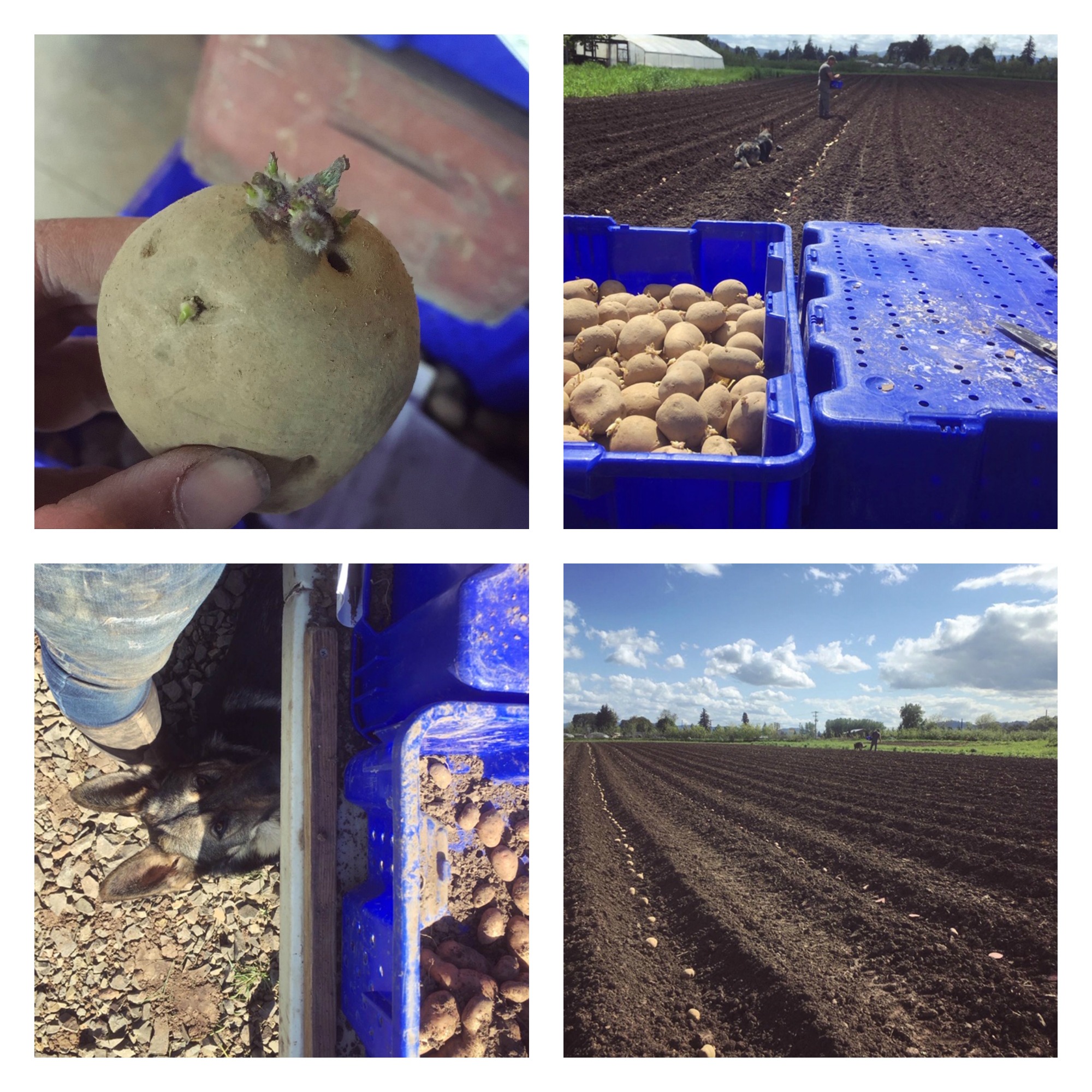 Mid-May Update From P&C