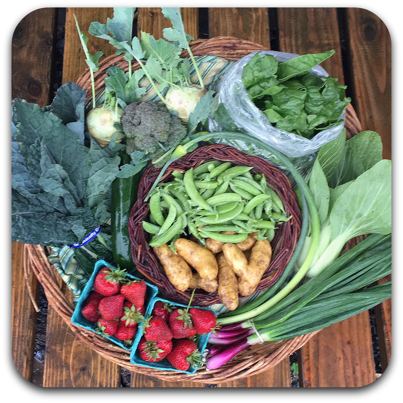Summer CSA Share – #2