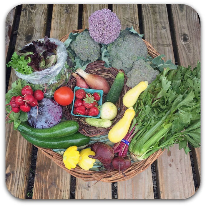 Summer CSA Share – #6