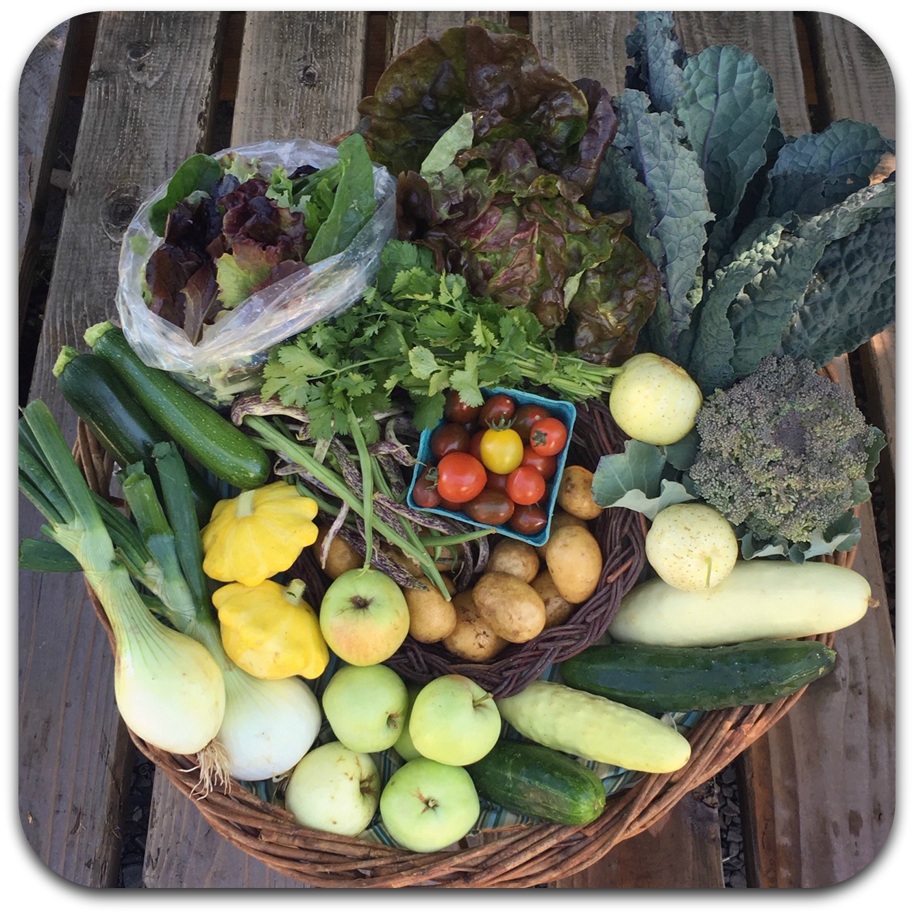 Summer CSA Share – #7