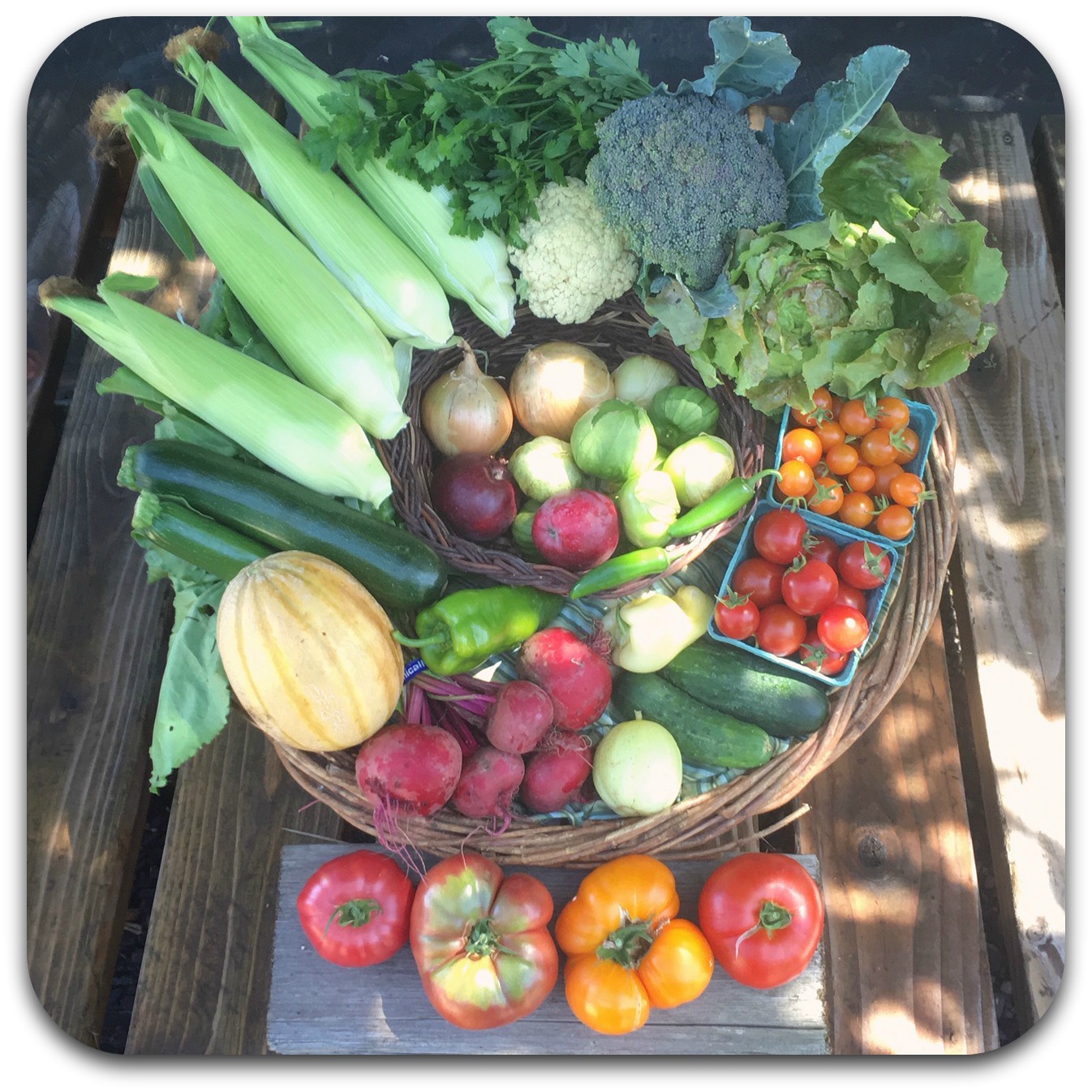 Summer CSA Share – #11