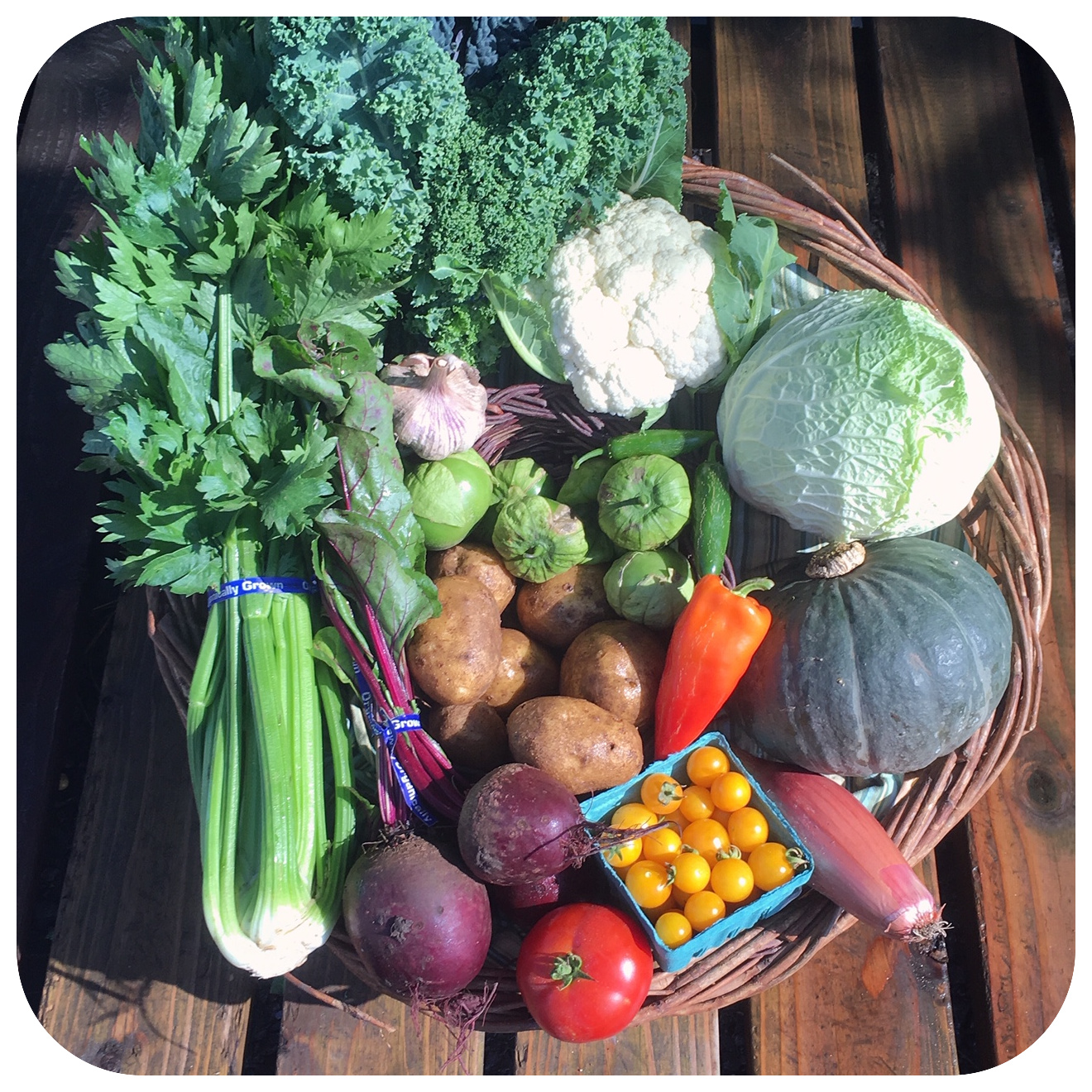 Summer CSA Share – #19
