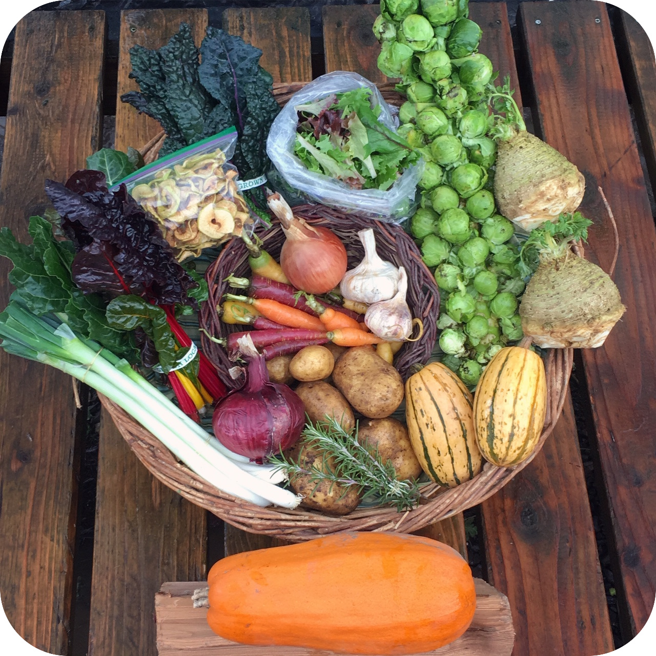 Winter CSA Share – #1