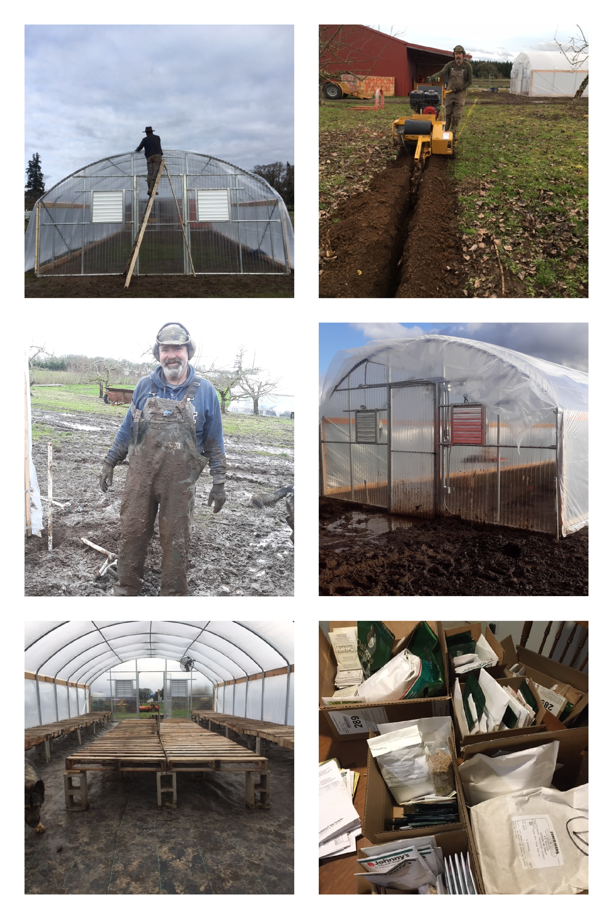 Newprop Pitchfork Crow