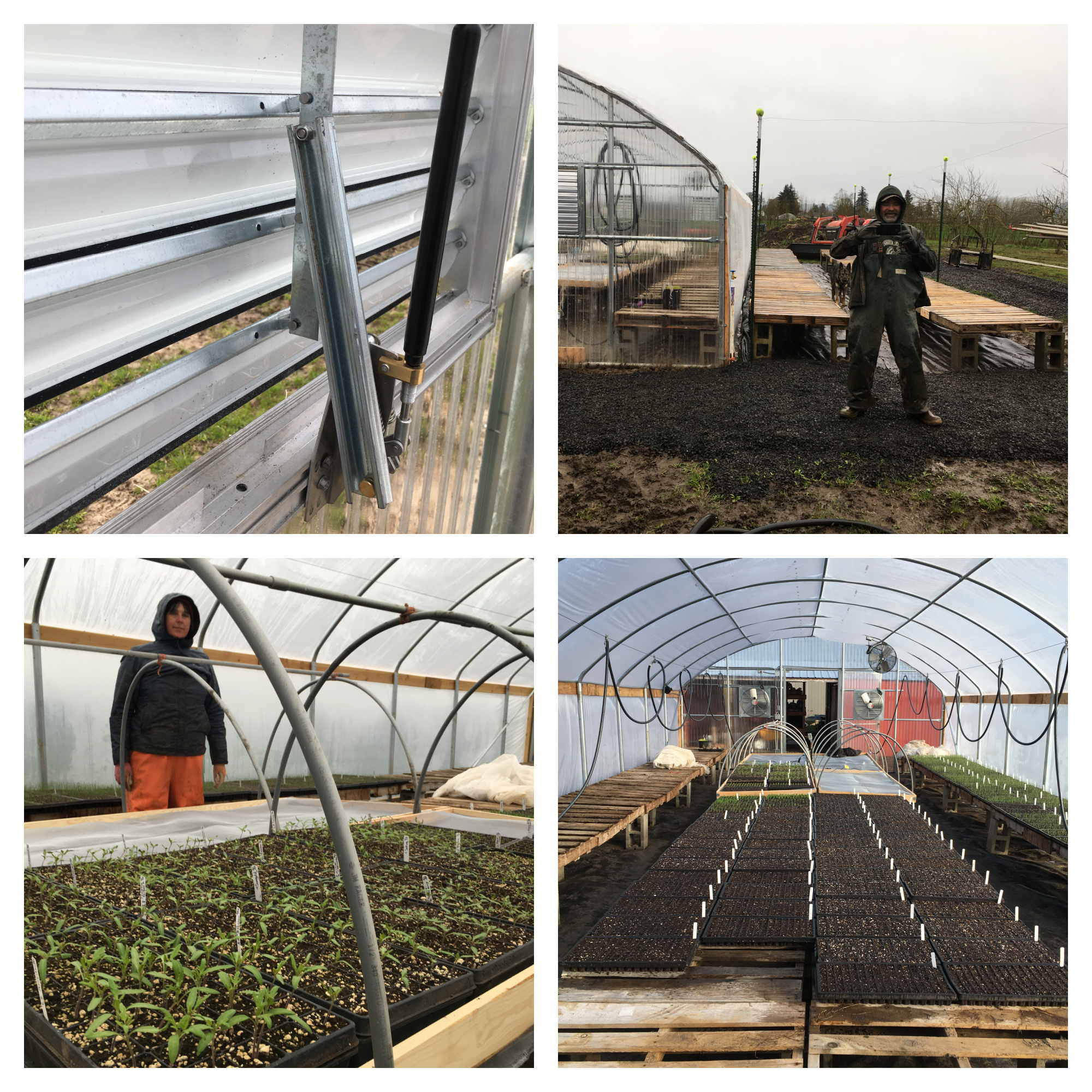 Propupgrades Pitchfork Crow