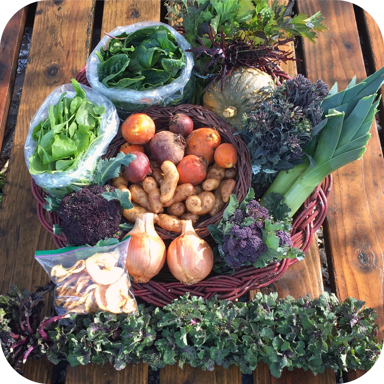 Winter CSA Share – #7